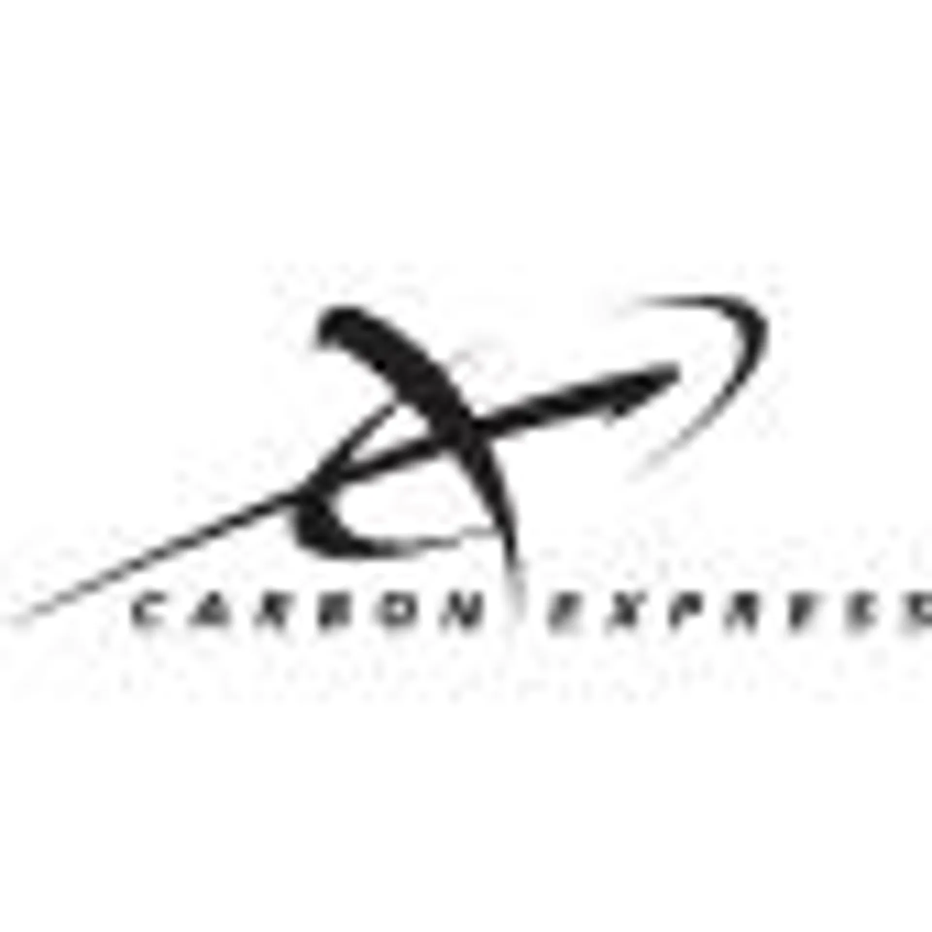 Carbon Express D-Stroyer SD Carbon Arrows