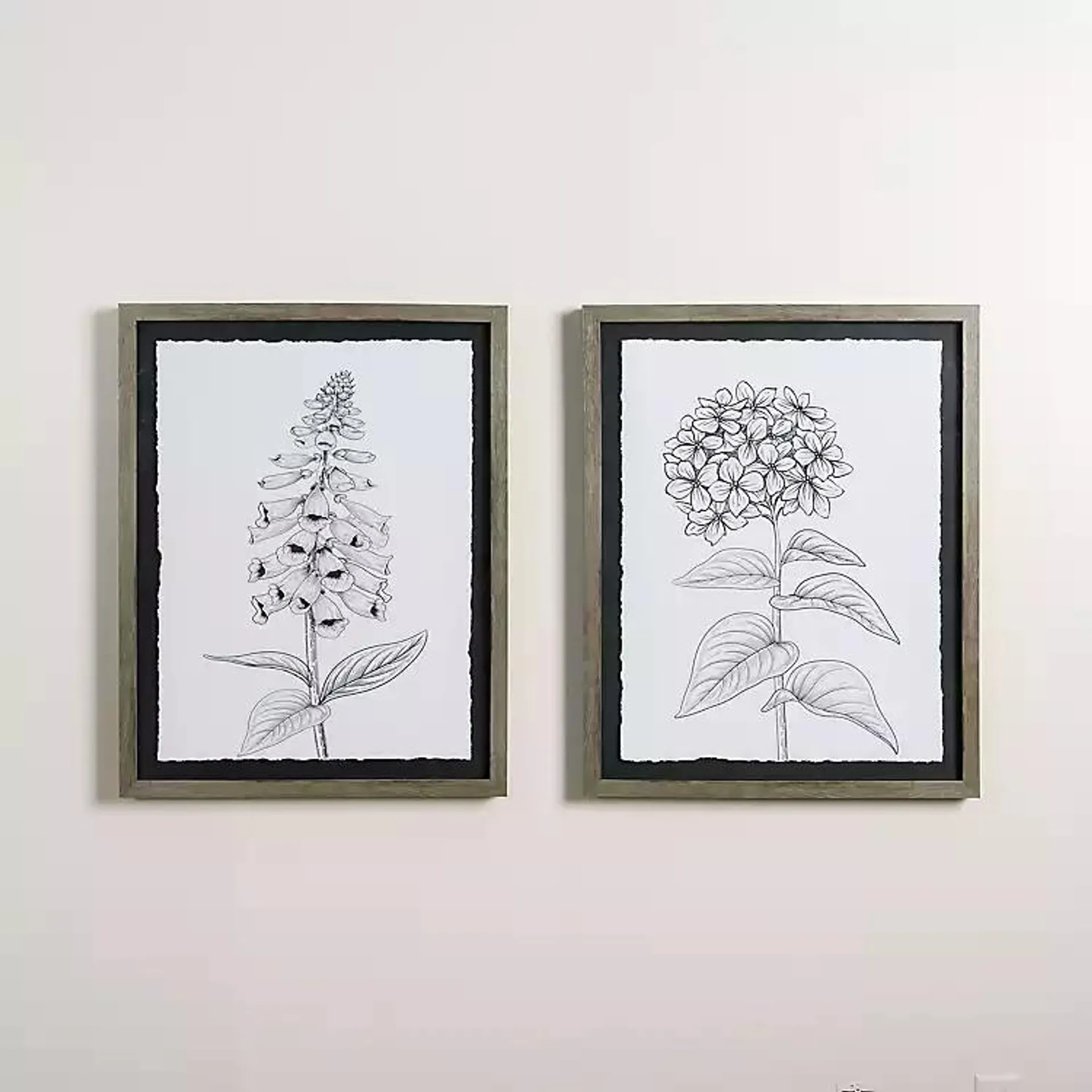 Milkweed & Foxglove Framed Art Prints, Set of 2