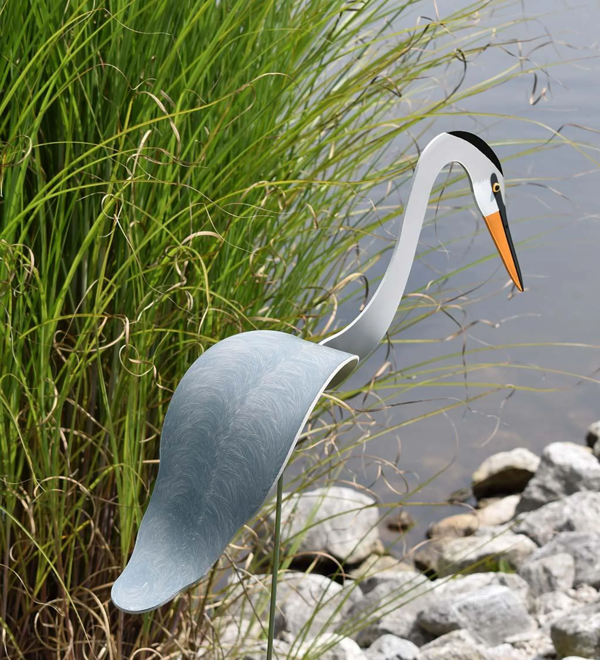 Great Blue Heron Dancing Bird