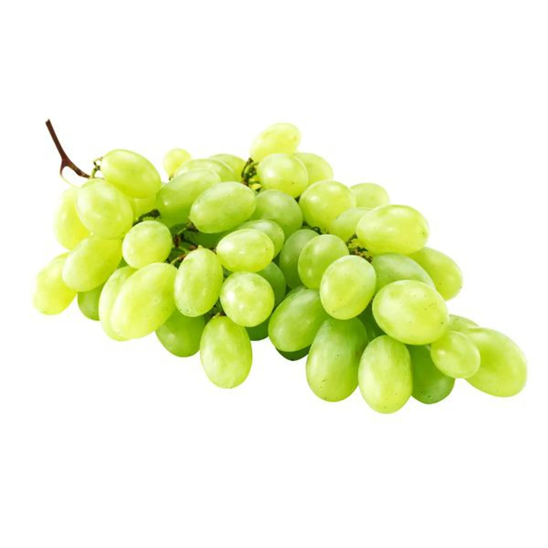 Green Seedless Grapes