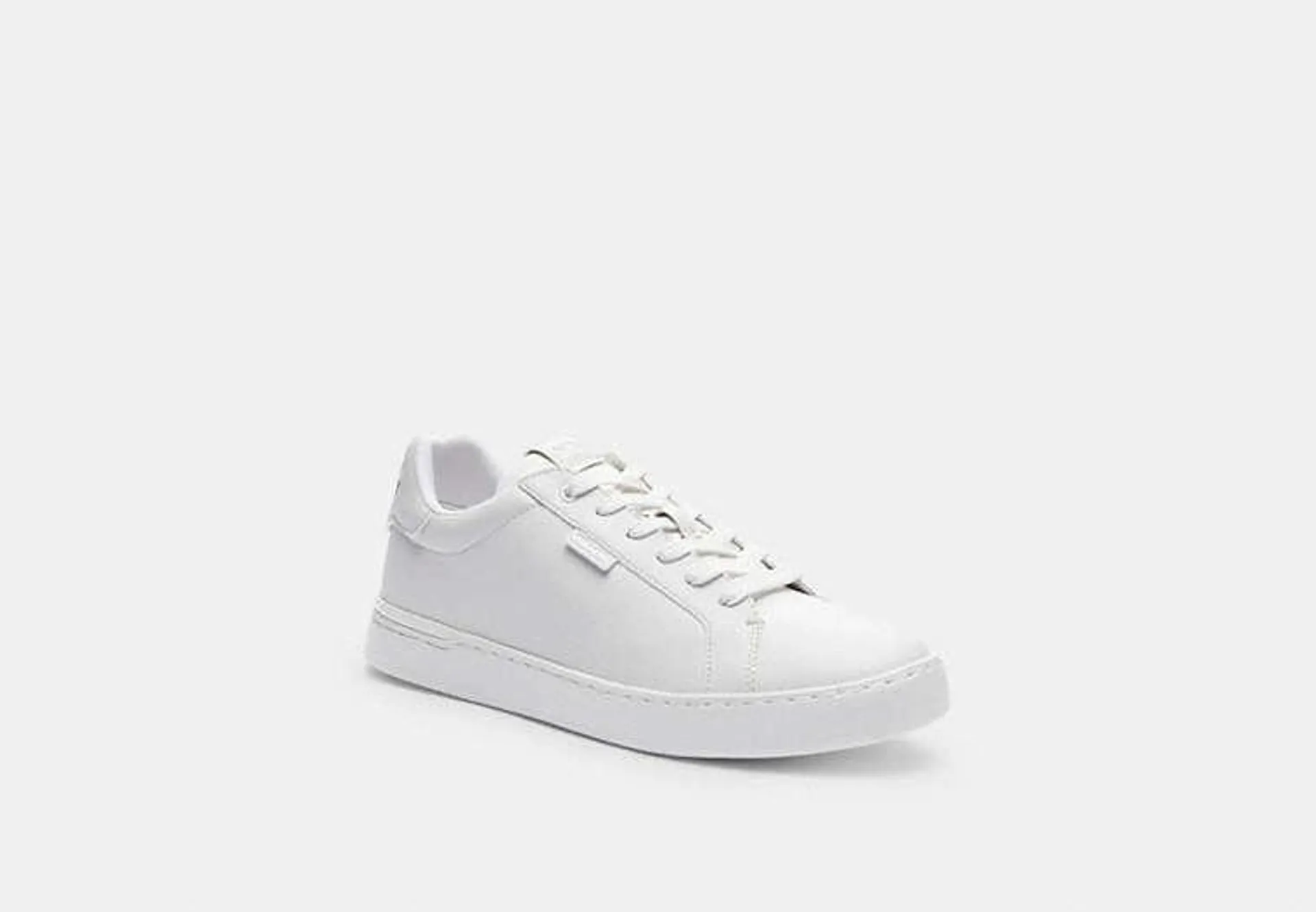 Lowline Low Top Sneaker