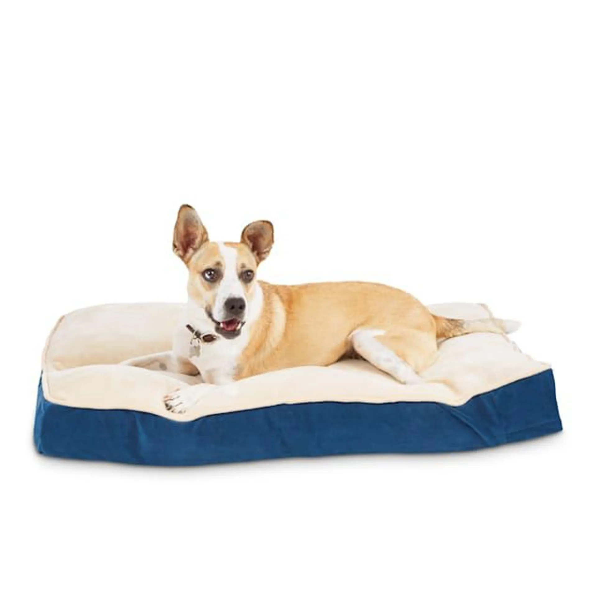 EveryYay Essentials Snooze Fest Lounger Dog Bed, 33" L X 24" W, Blue