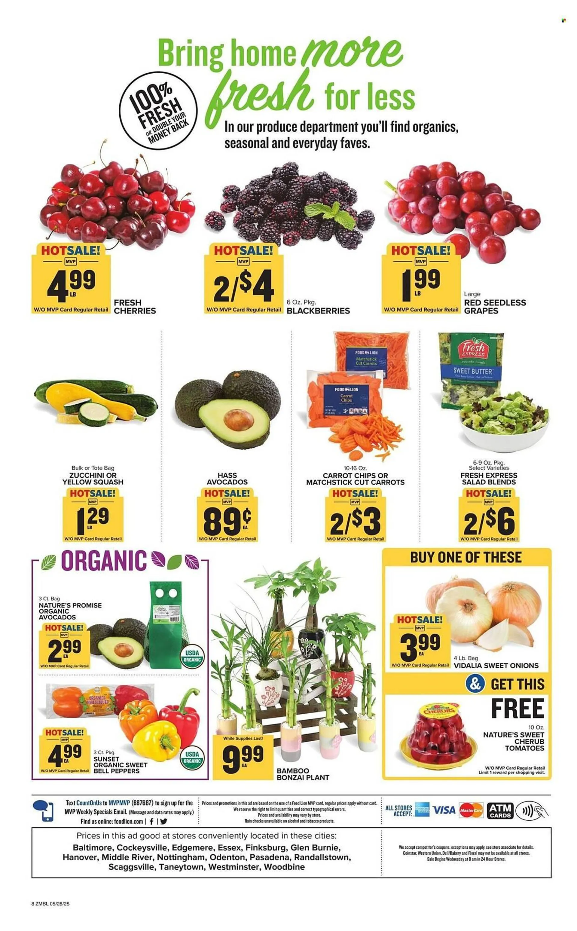Weekly ad Food Lion Weekly Ad from May 28 to June 3 2025 - Page 8