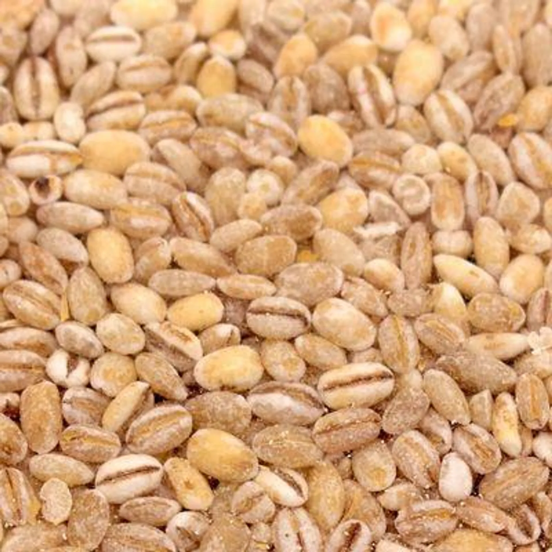 Organic Pearled Barley (Packaged)