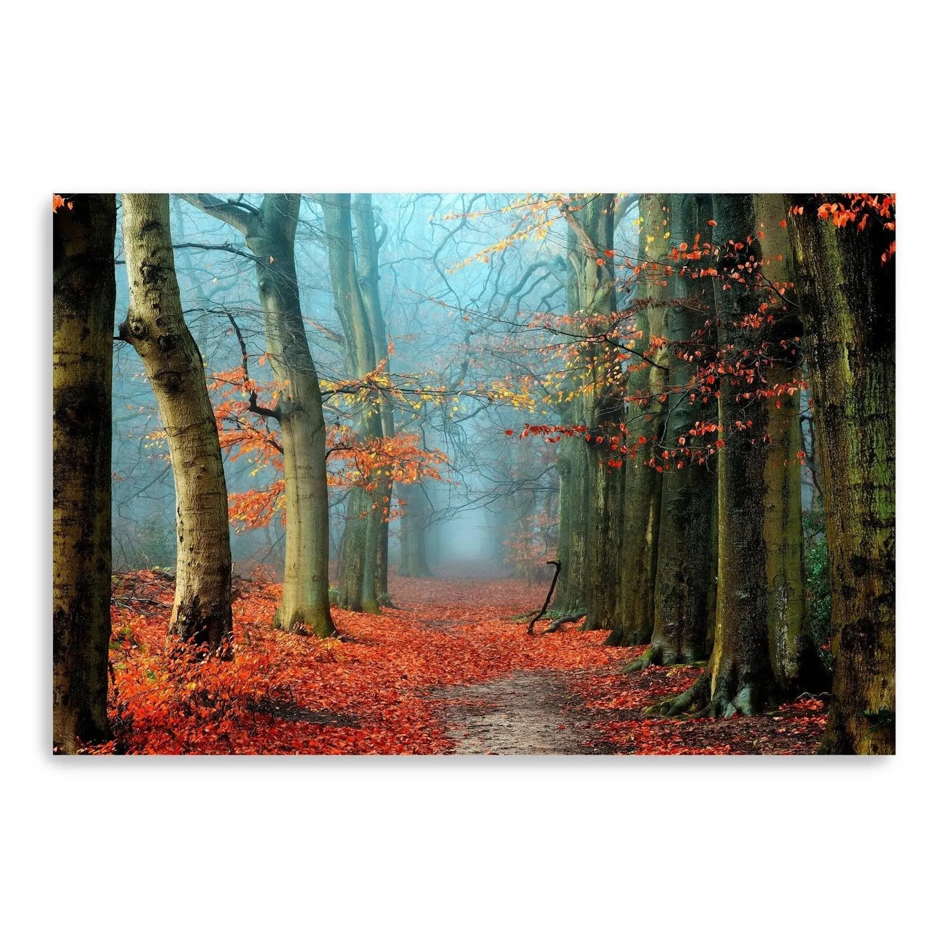 Bussum In Fall Canvas Giclee Wall Art