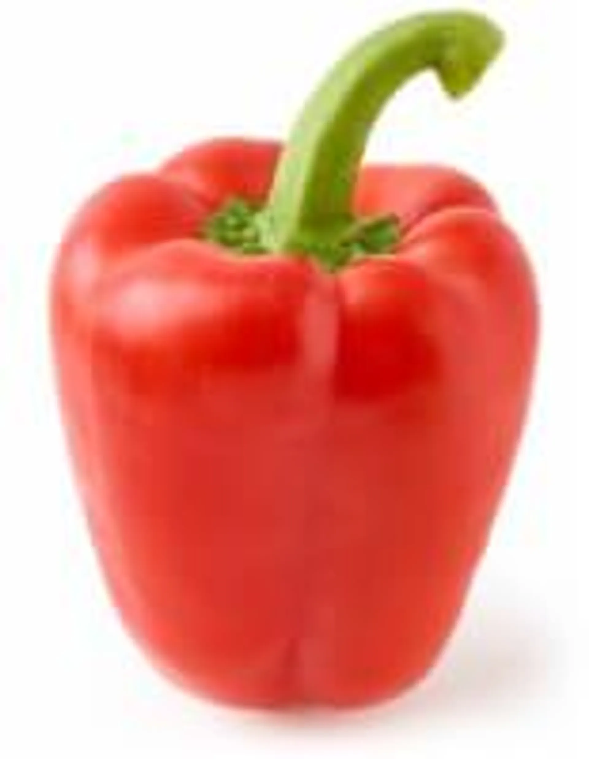 Red Hothouse Bell Pepper