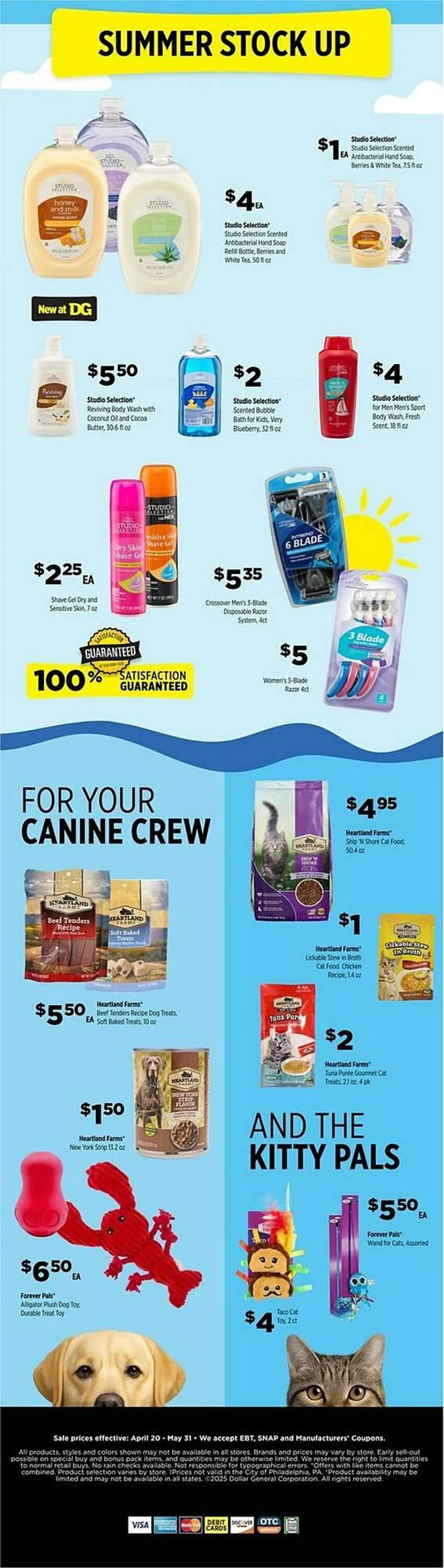 Weekly ad Dollar General Weekly Ad from April 20 to May 17 2025 - Page 2