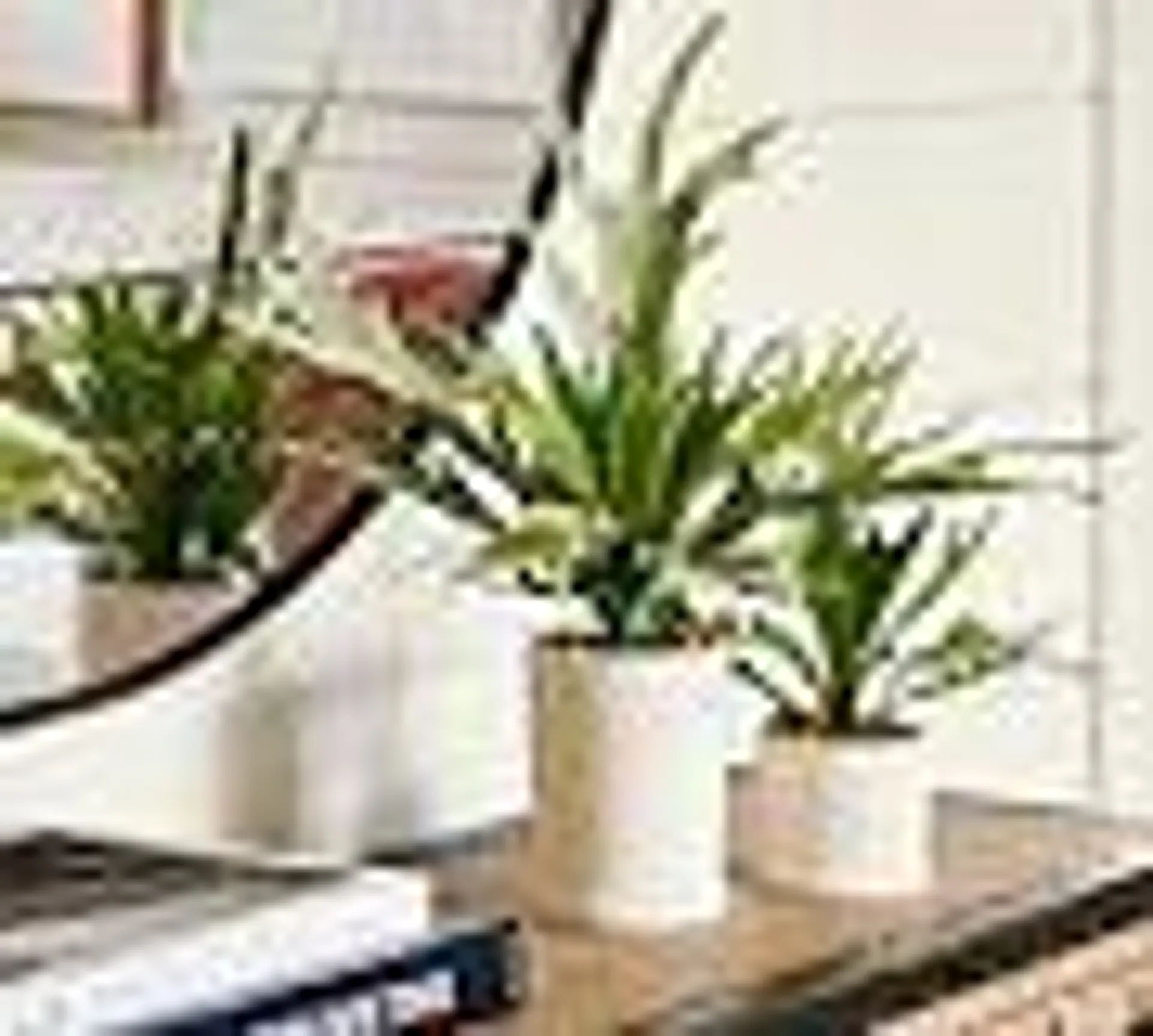 Faux Potted Staghorn Fern