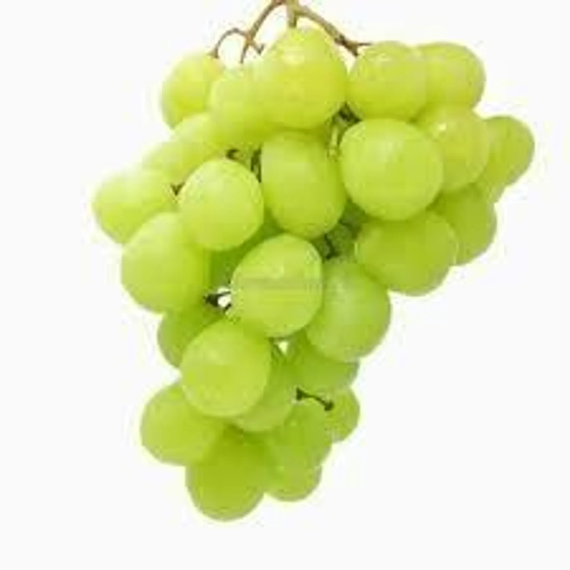 GREEN SEEDLESS GRAPES