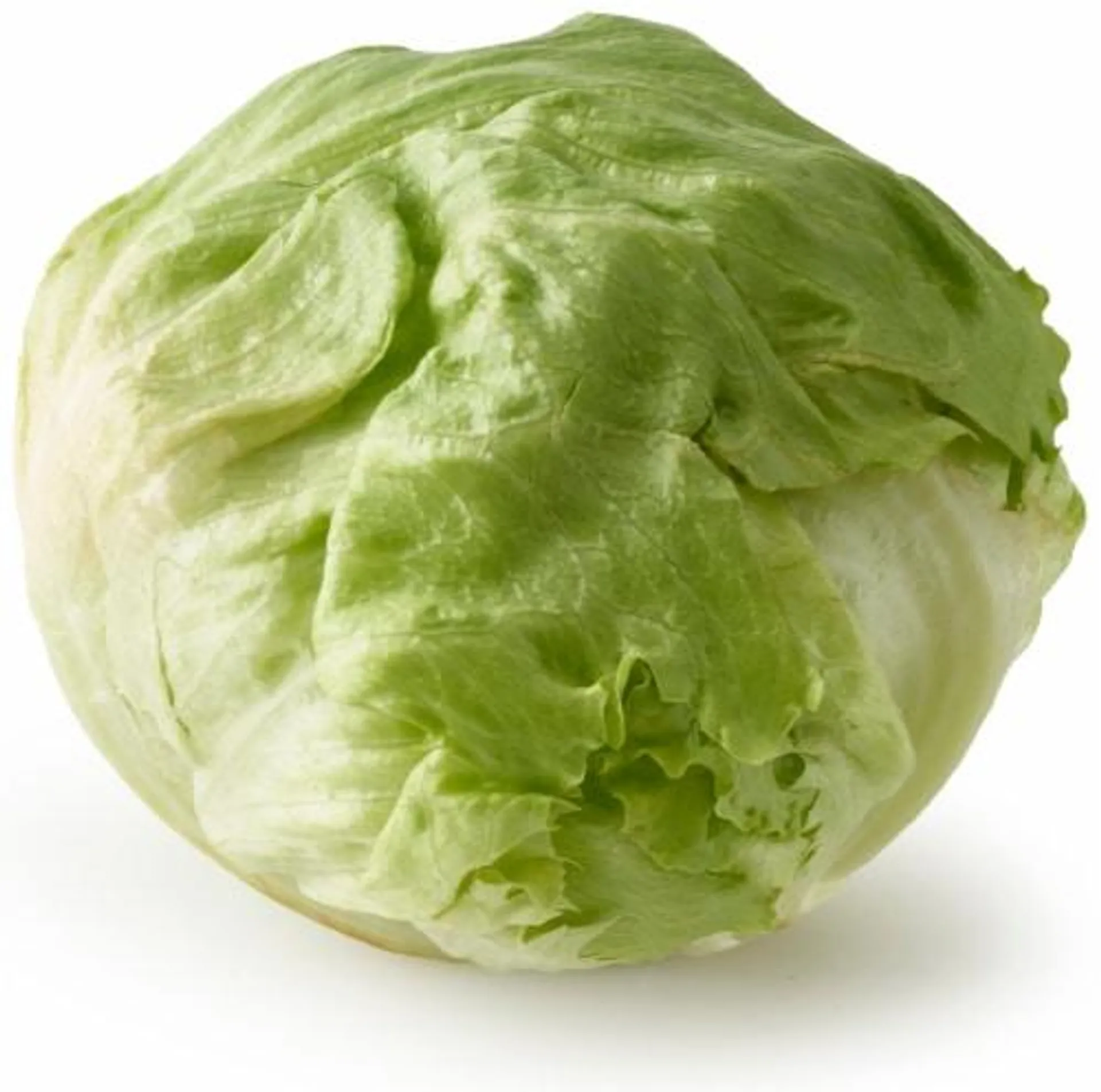 Organic Iceberg Lettuce