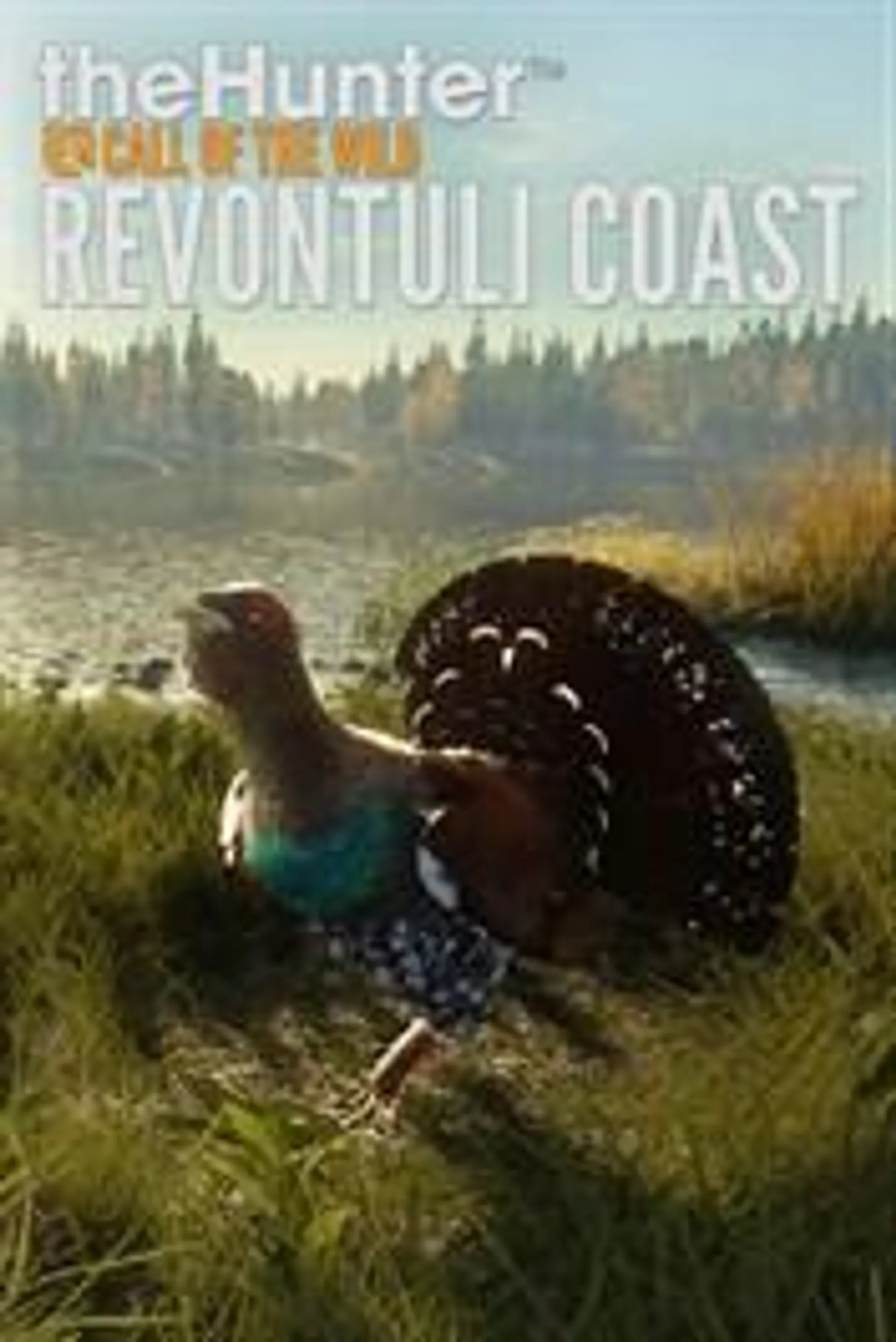 theHunter: Call of the Wild™ - Revontuli Coast