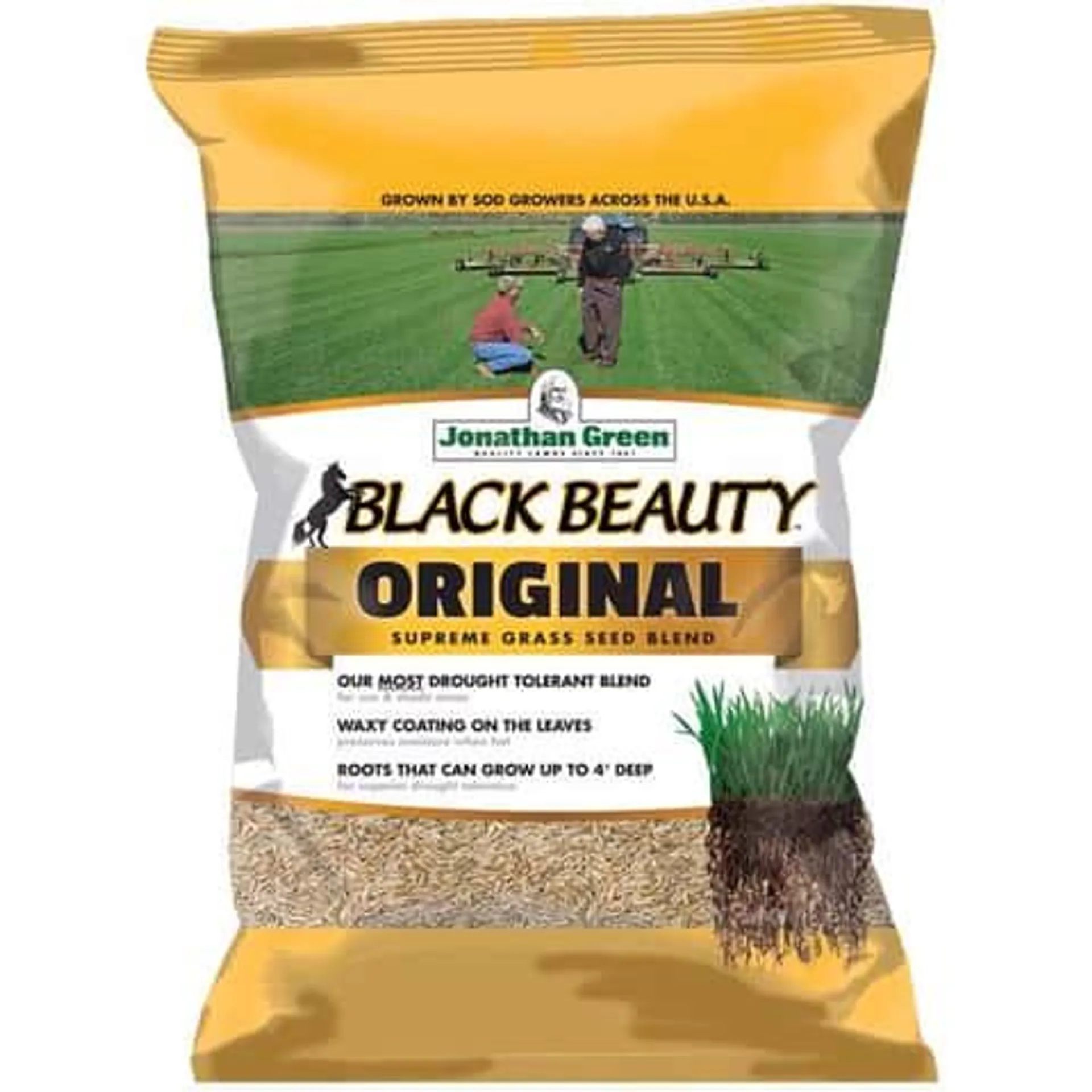 Jonathan Green Black Beauty Original Tall Fescue Blend Tall Fescue Grass Sun or Shade Grass Seed 15