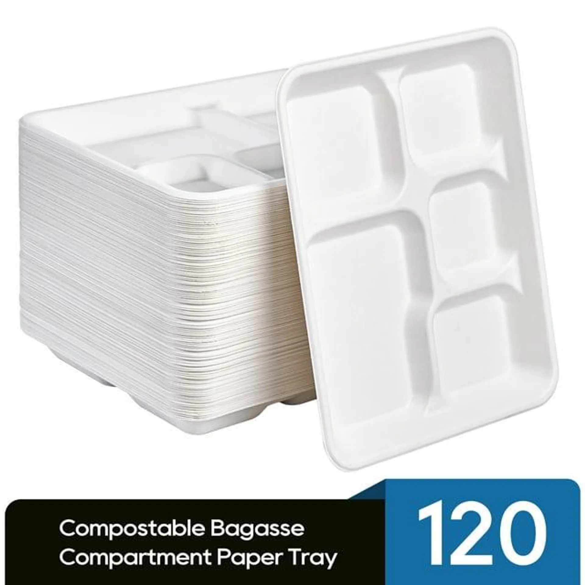 JOLLY CHEF Disposable Compostable 5 Compartment Paper plates, 10*8 inch, 120 Pack,Perfect for Boys and Girls