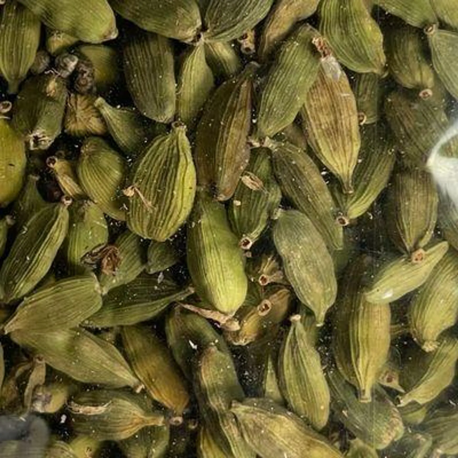 Organic Cardamom Pods (Packaged)