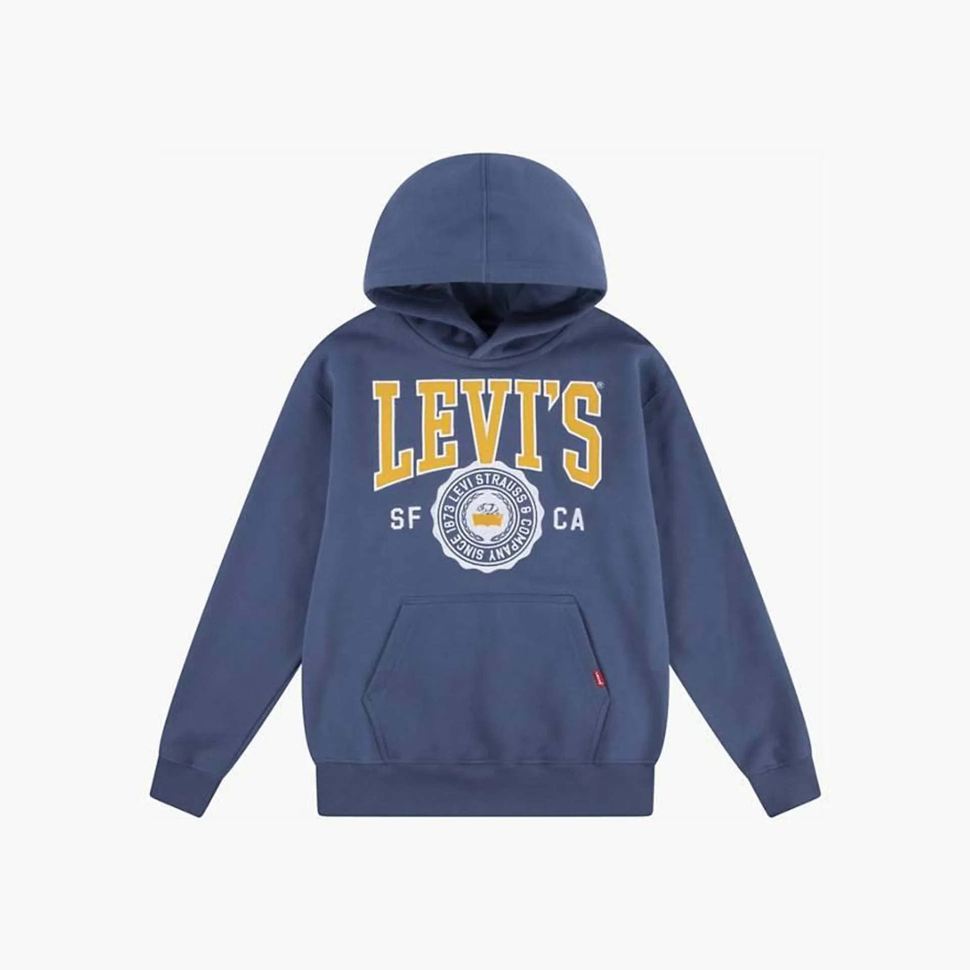 Sporty Pullover Hoodie Little Boys 4-7x