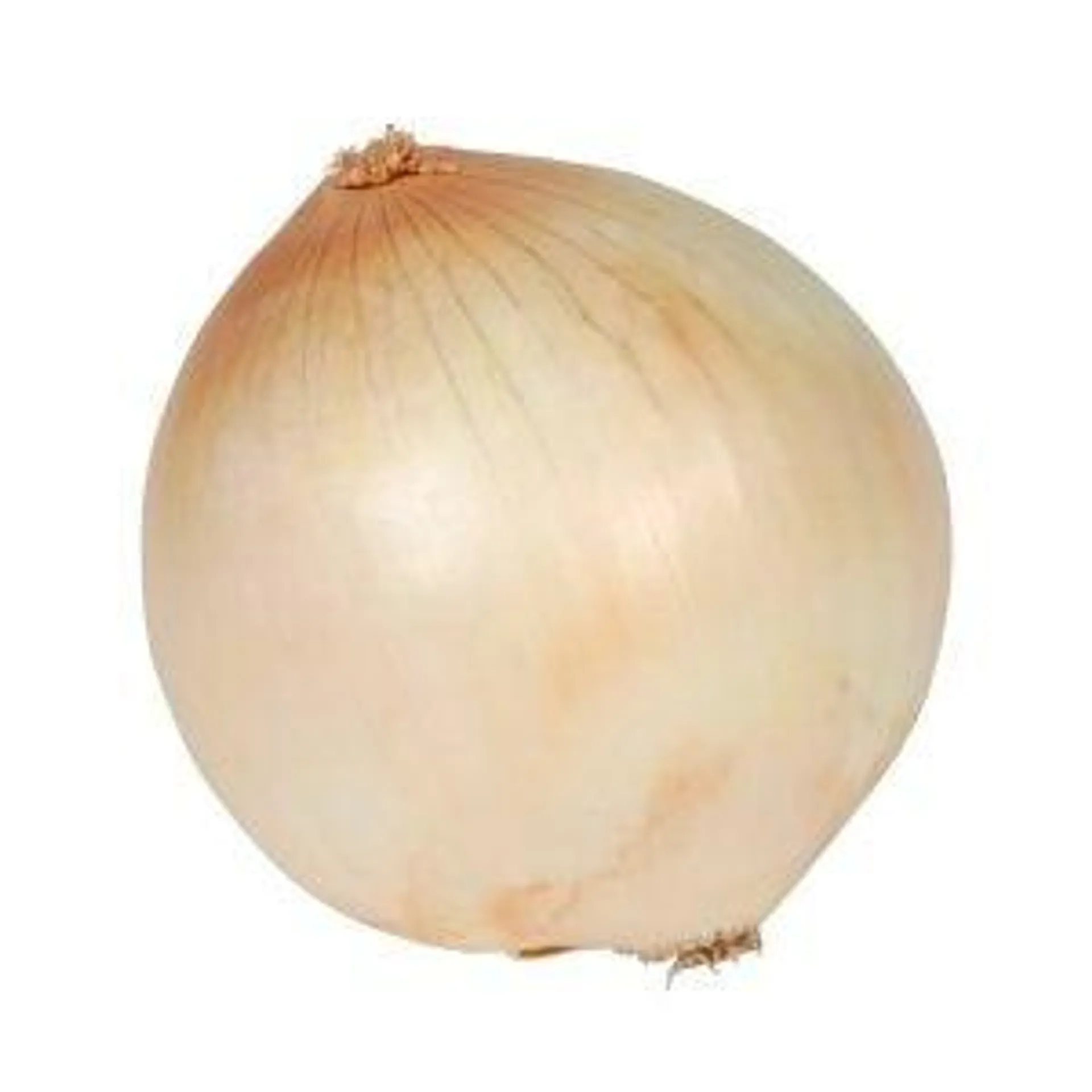Onions, Yellow, Fresh, 3 Lb Bag