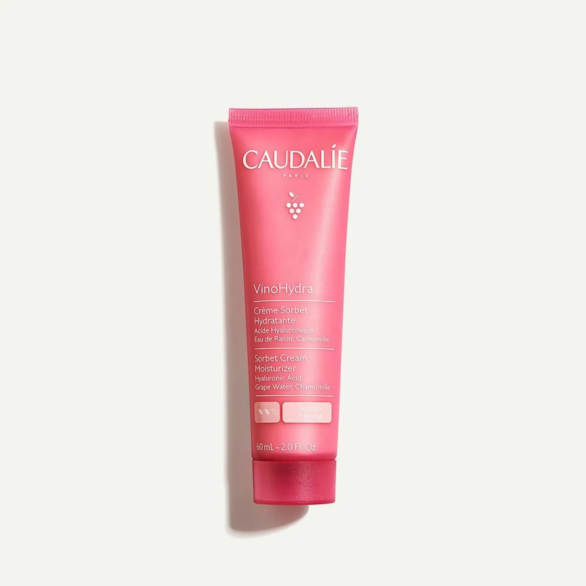 Sorbet Cream Moisturizer with Hyaluronic Acid