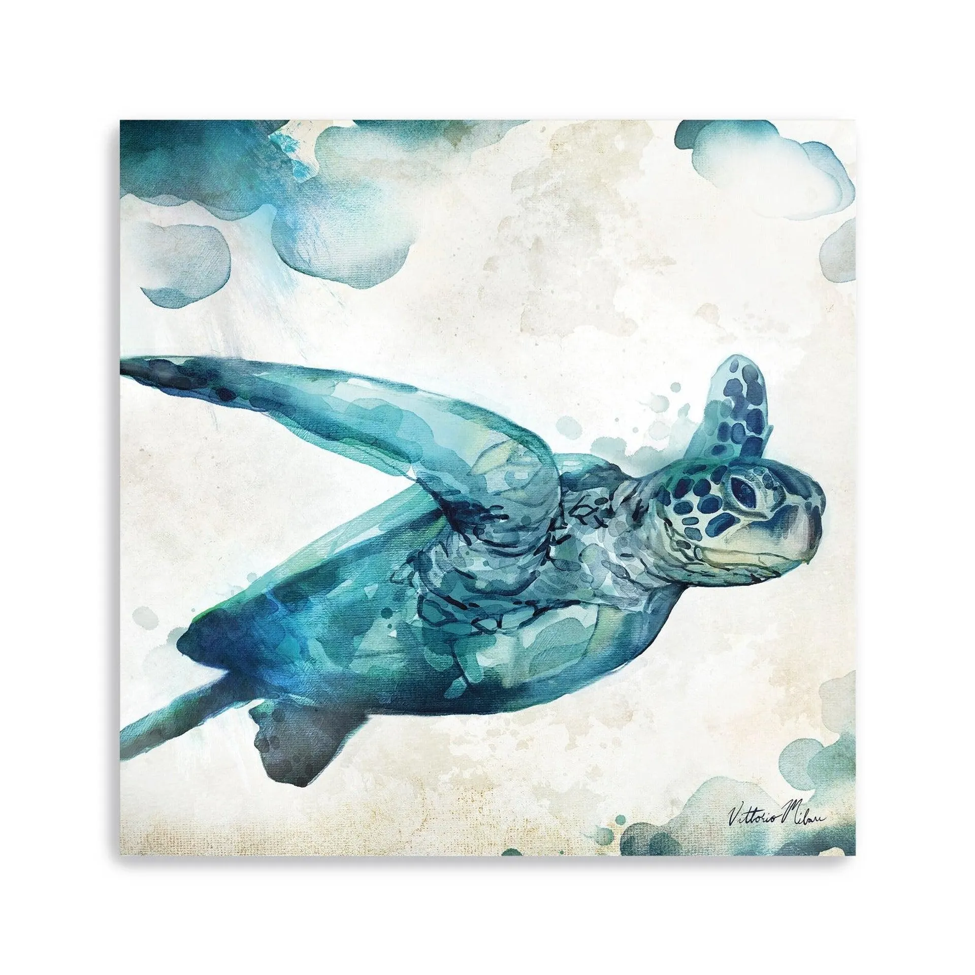 Watercolor Sea Creatures Iii Canvas Giclee Wall Art