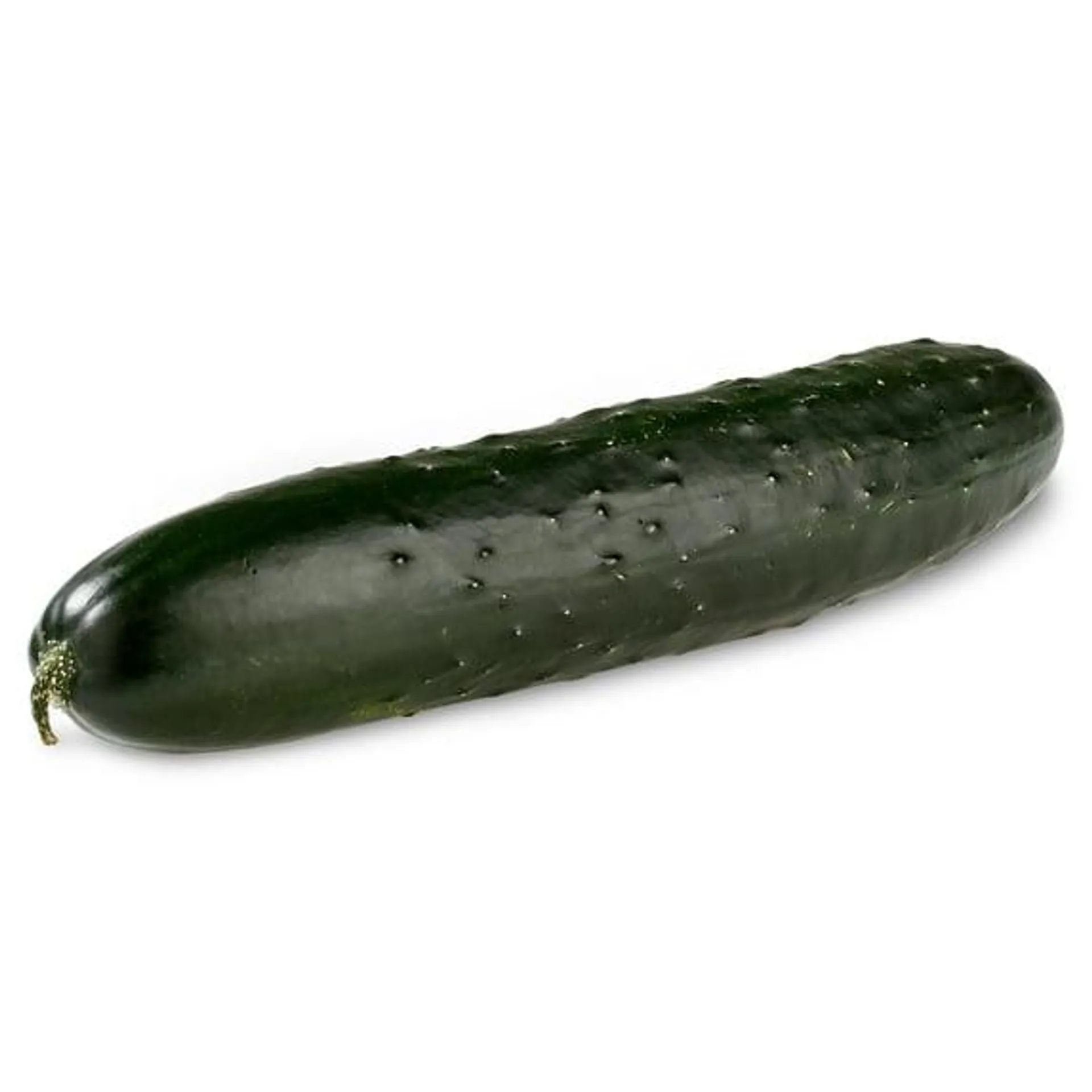 Fresh Cucumber, Each