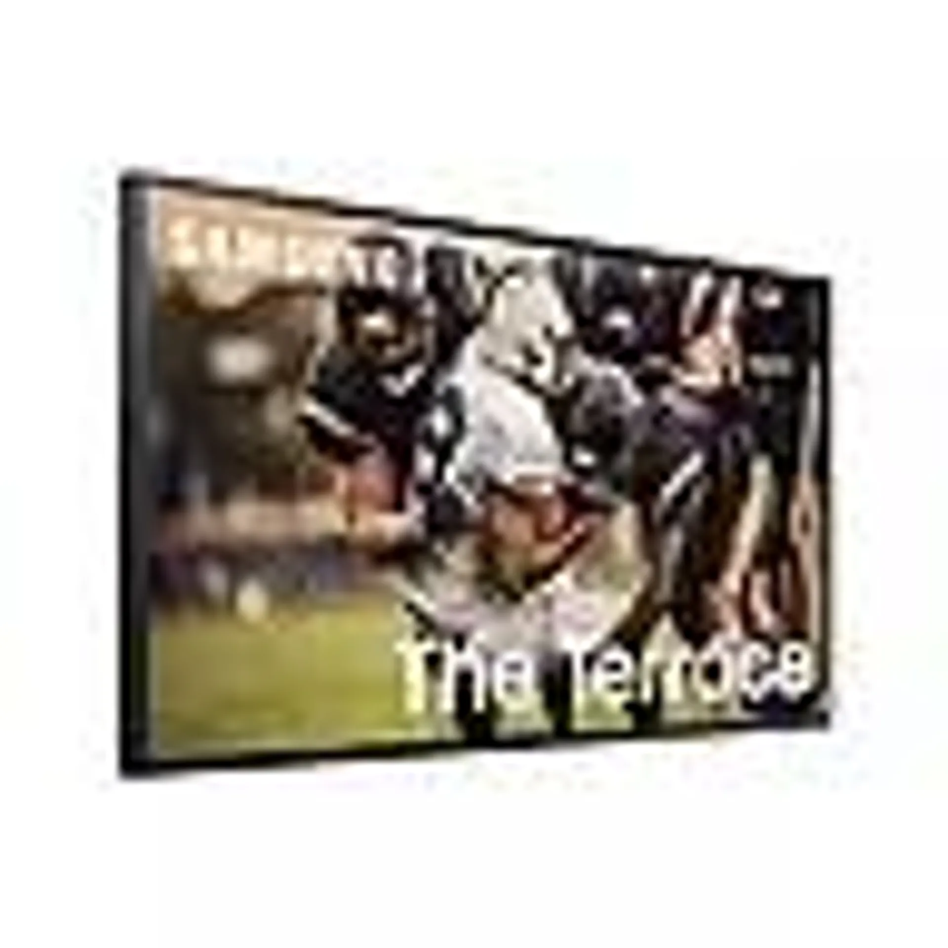 SAMSUNG 65” Class 4K Ultra HD QLED The Terrace outdoor Smart TV - QN65LST7TAFXZA