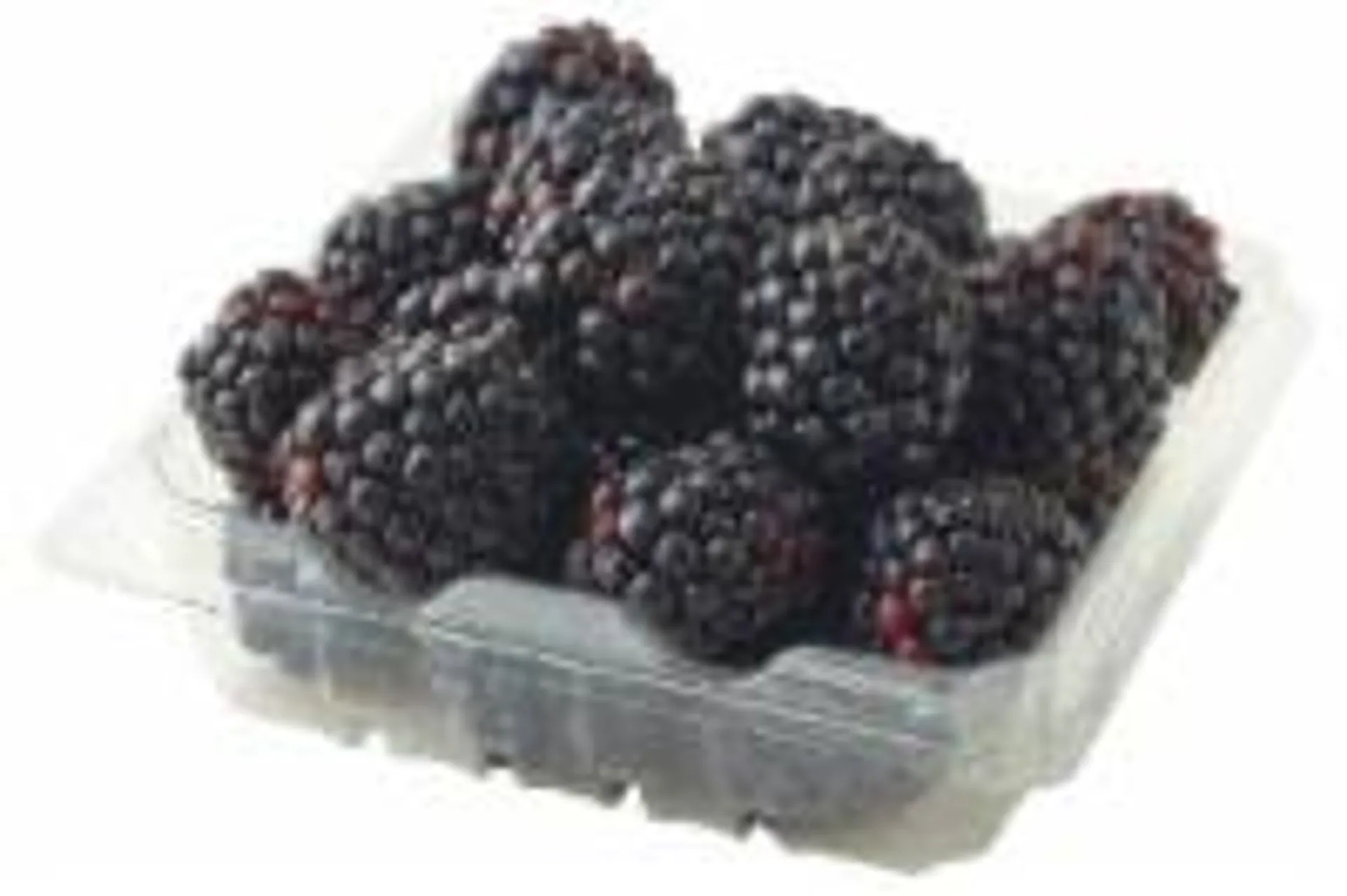 Berries - Blackberries