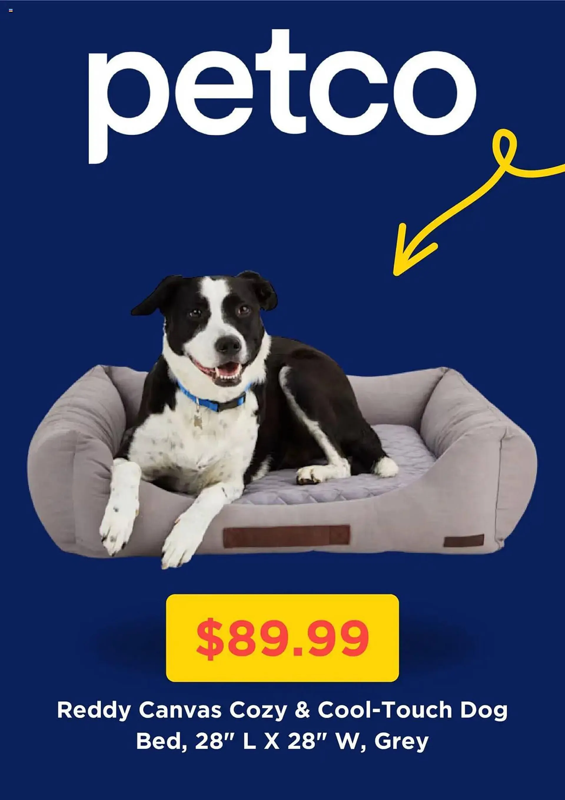 Weekly ad Petco Weekly Ad from May 5 to May 24 2025 - Page 2