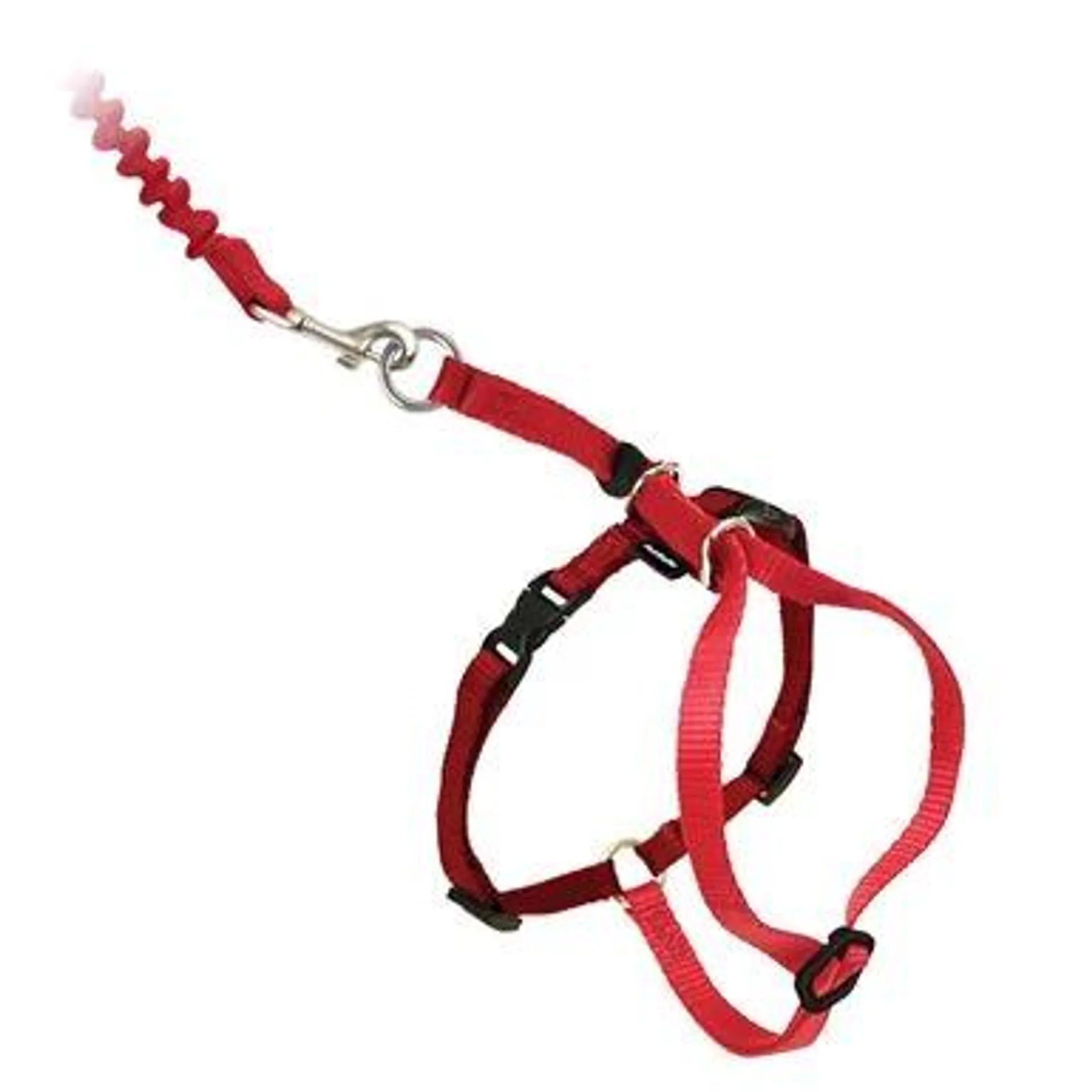 PetSafe® Come With Me Kitty™ Harness & Bungee Leash, Medium, Red
