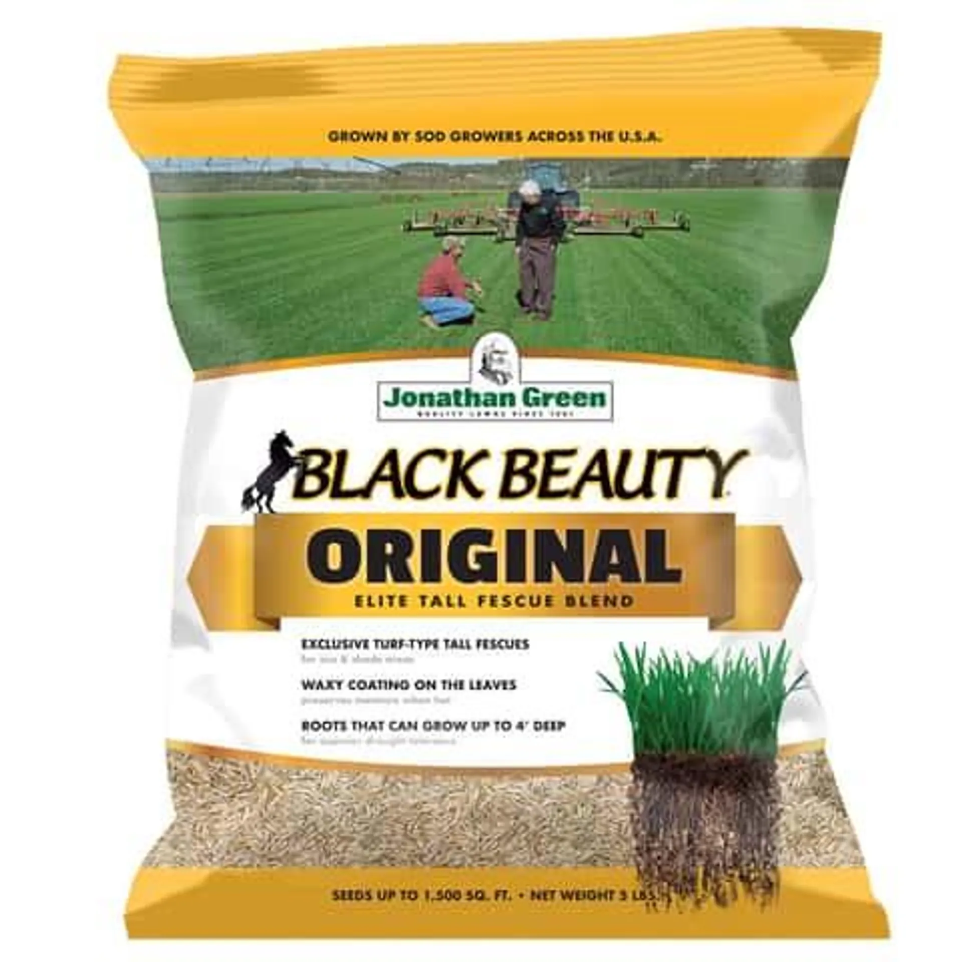 Jonathan Green Black Beauty Original Tall Fescue Blend Tall Fescue Grass Sun or Shade Grass Seed 5 l