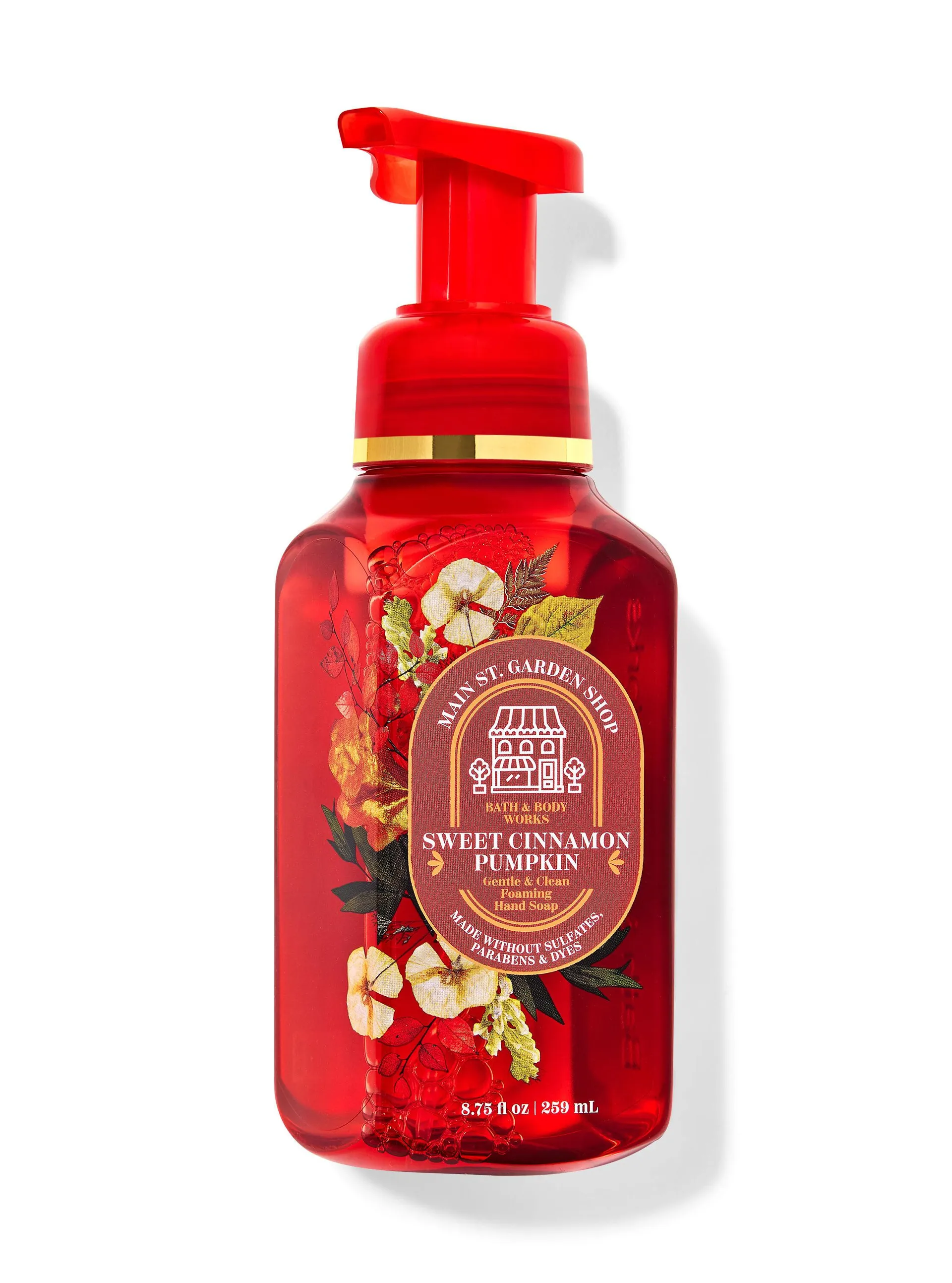 Sweet Cinnamon Pumpkin Gentle & Clean Foaming Hand Soap