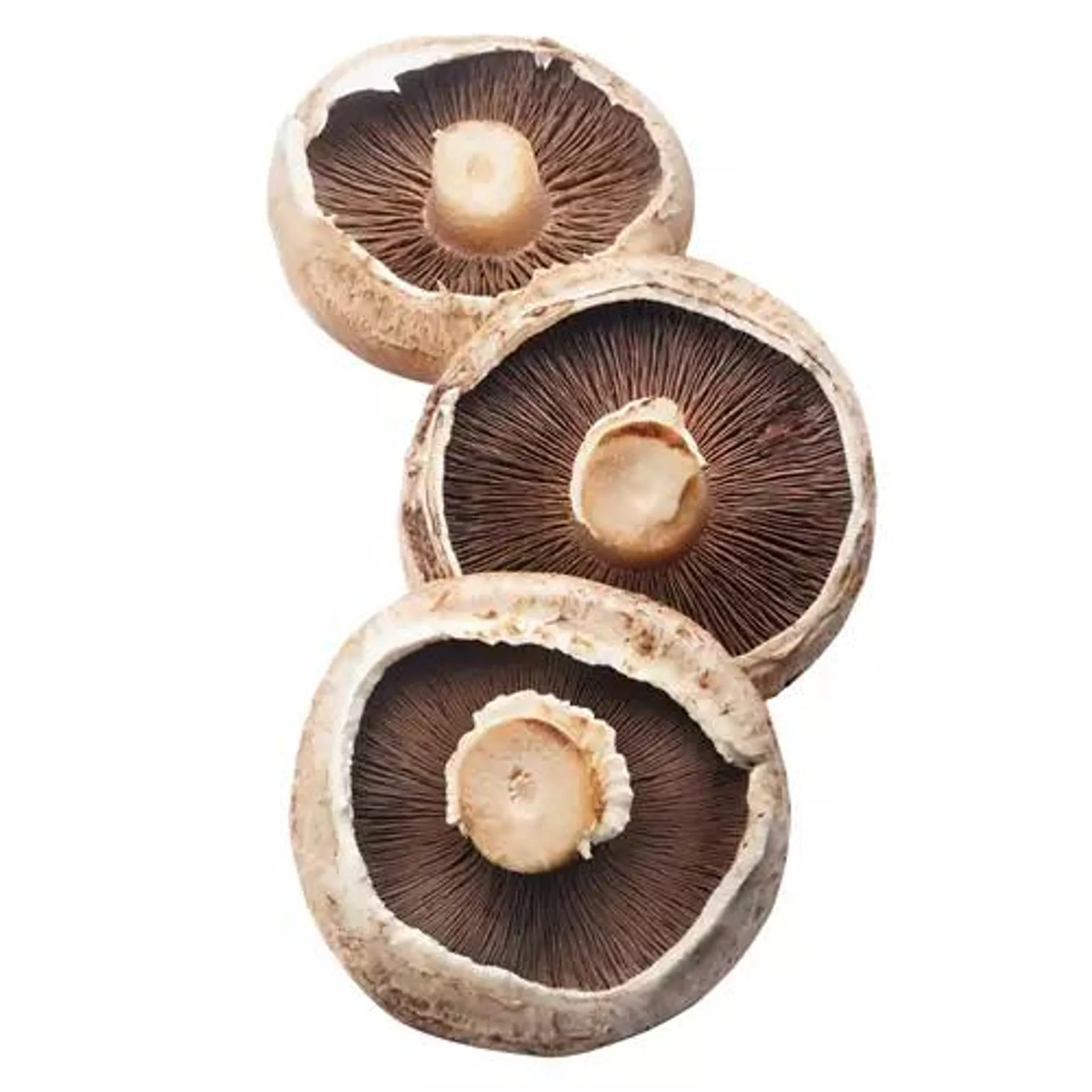 Portabella Mushrooms, 6 oz