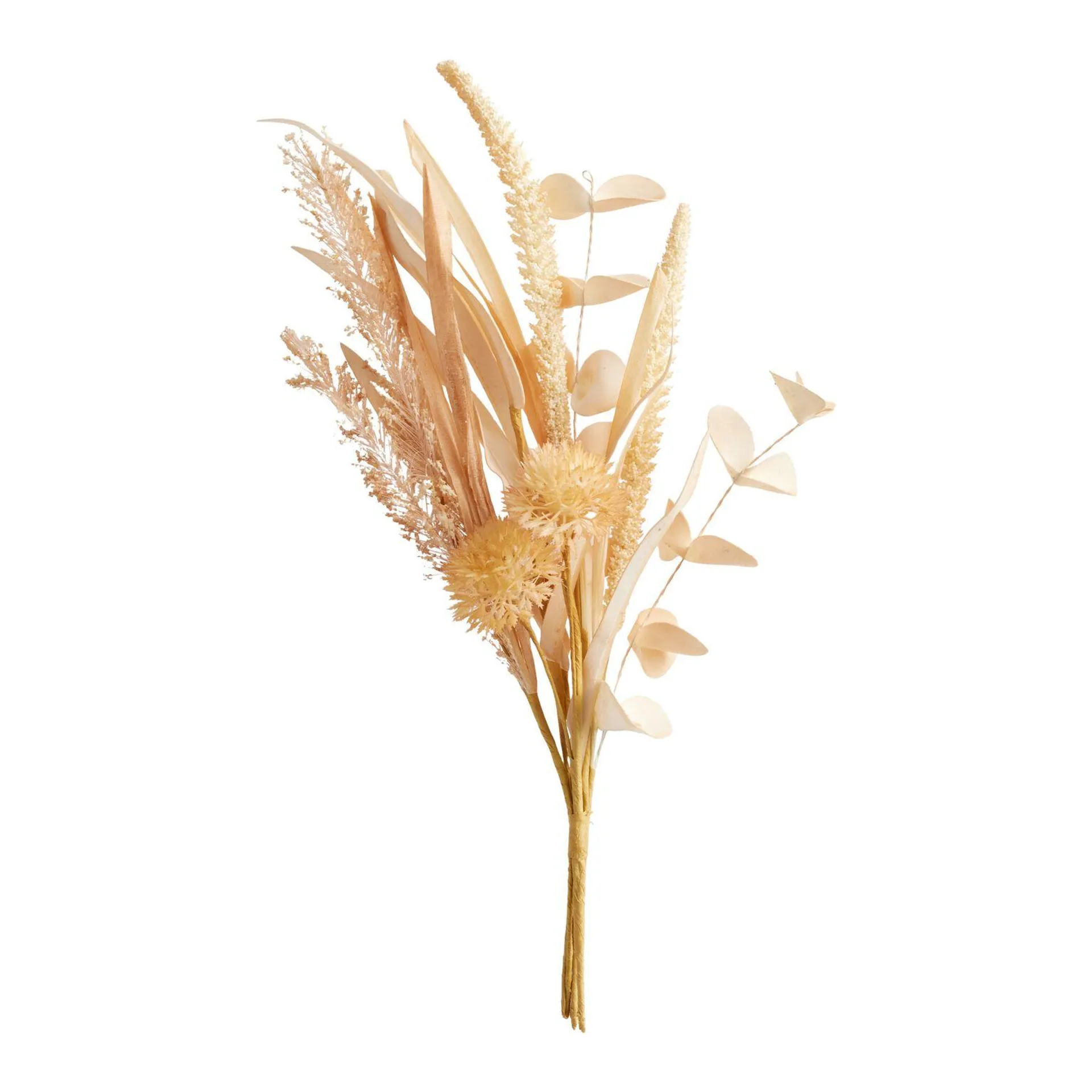 Dried Fall Bulrush Reed Bunch