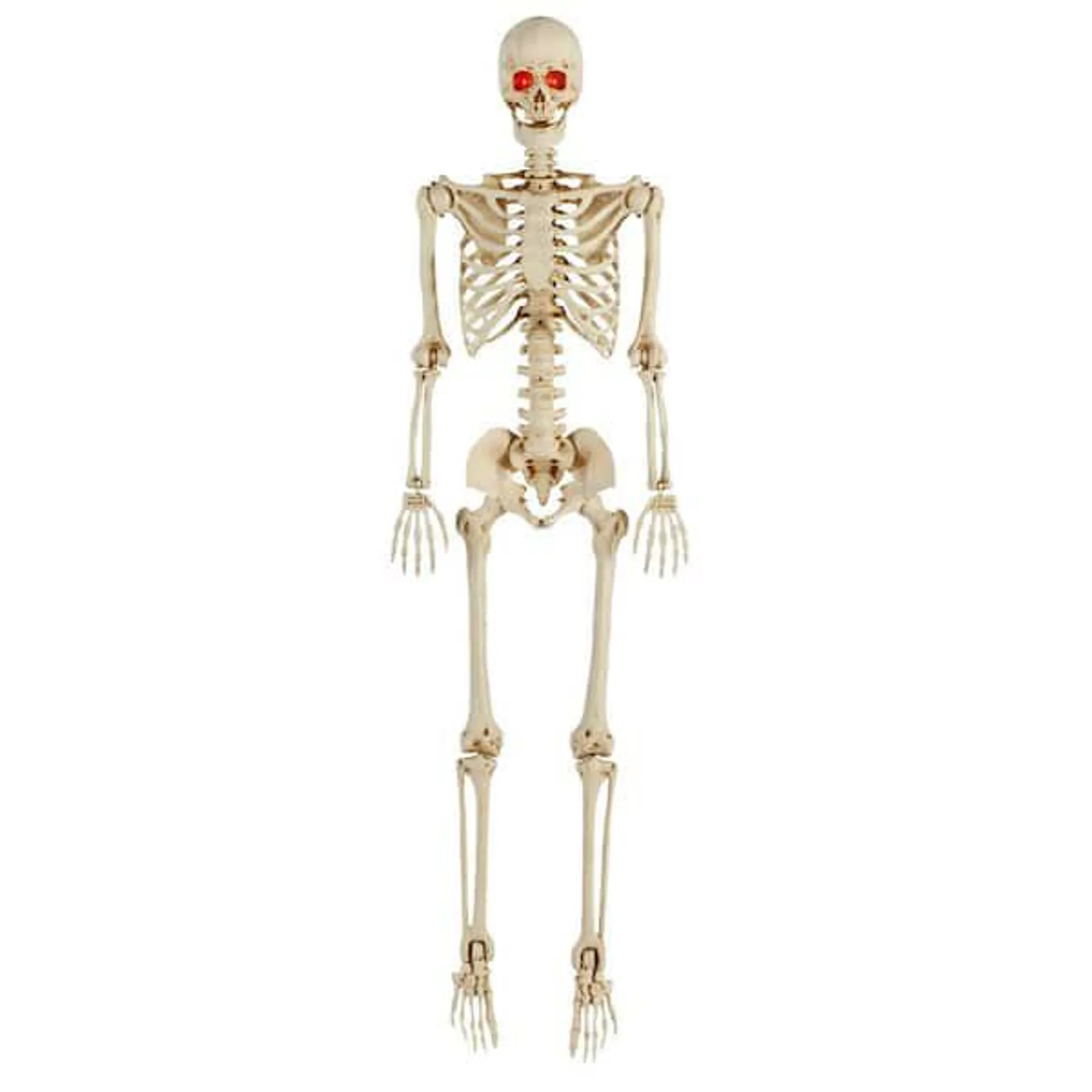 5 ft Halloween Posable Skeleton Hanging Décor with LED Eyes