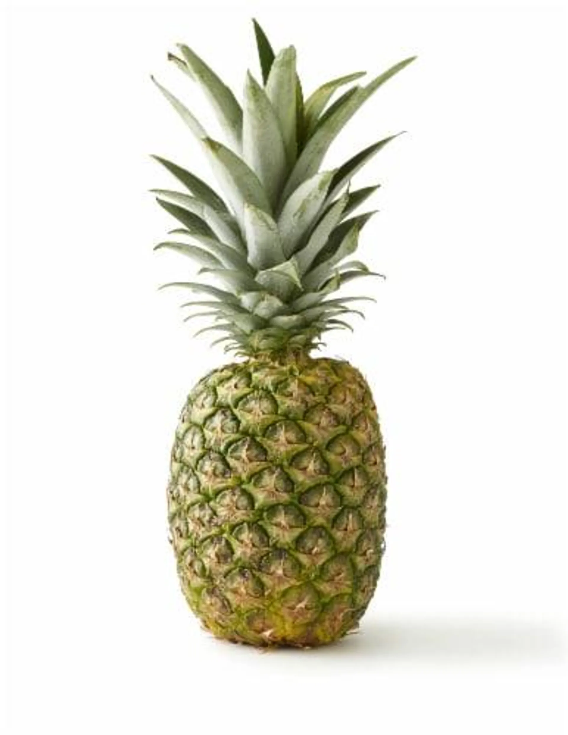 Fresh Whole Pineapple