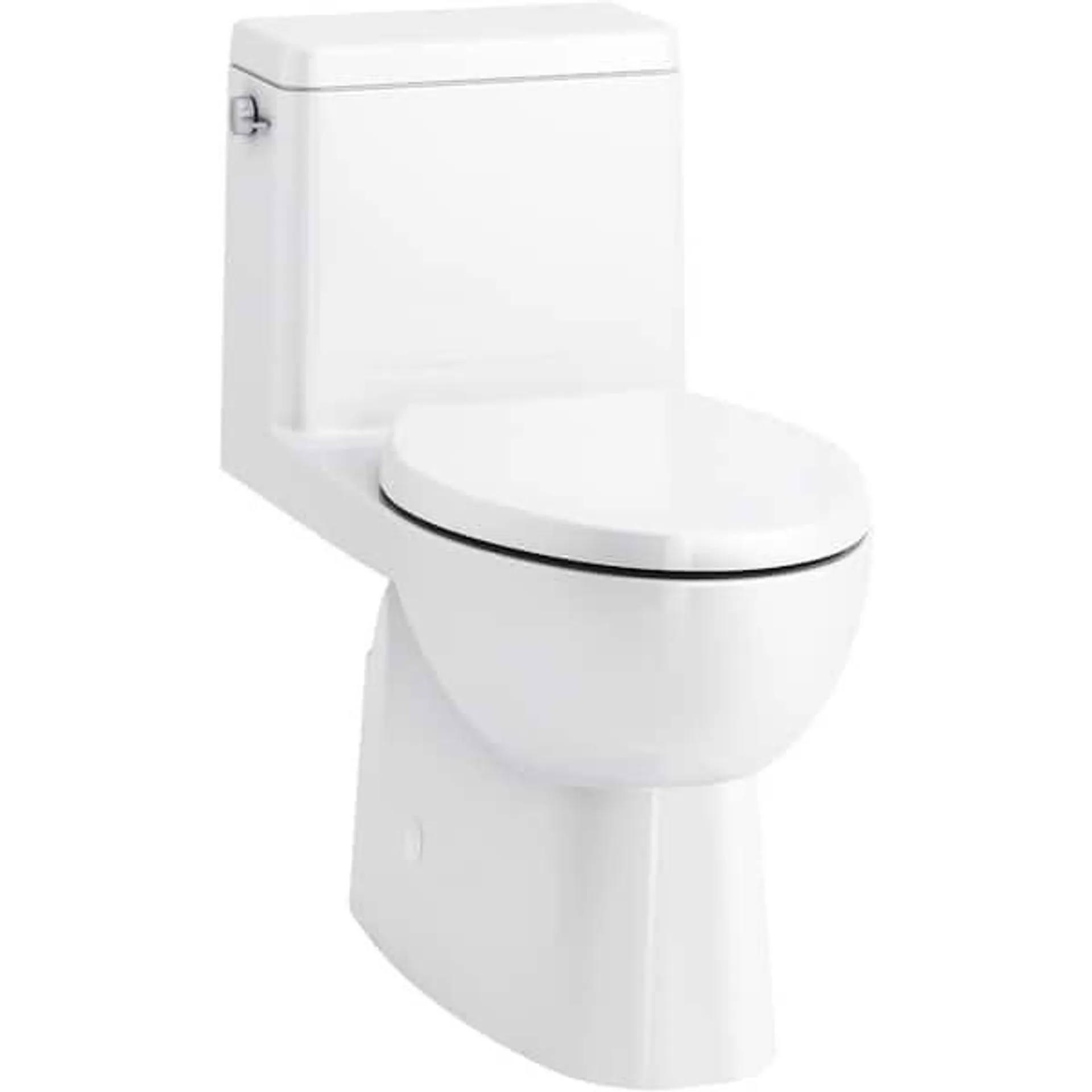 Reach 12 in. Rough In 1-Piece 1.28 GPF Single Flush Elongated Toilet in White Seat Included