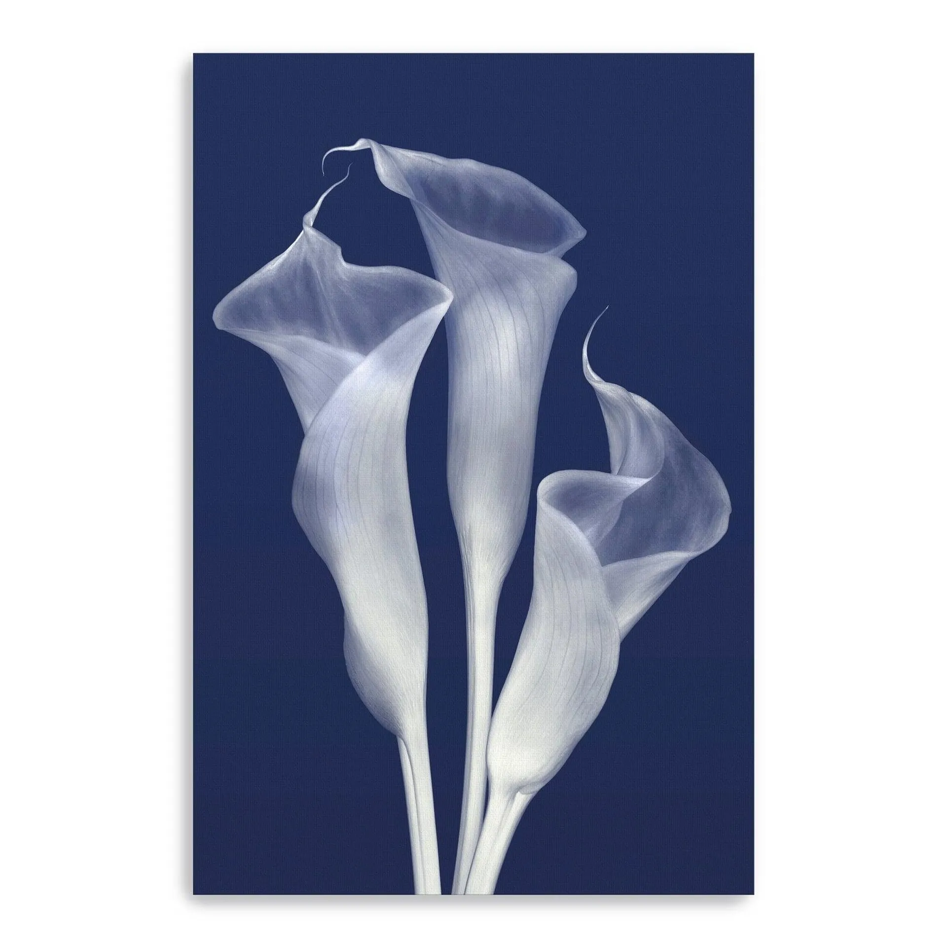 Elongated Elegance In Indigo Canvas Giclee Wall Art