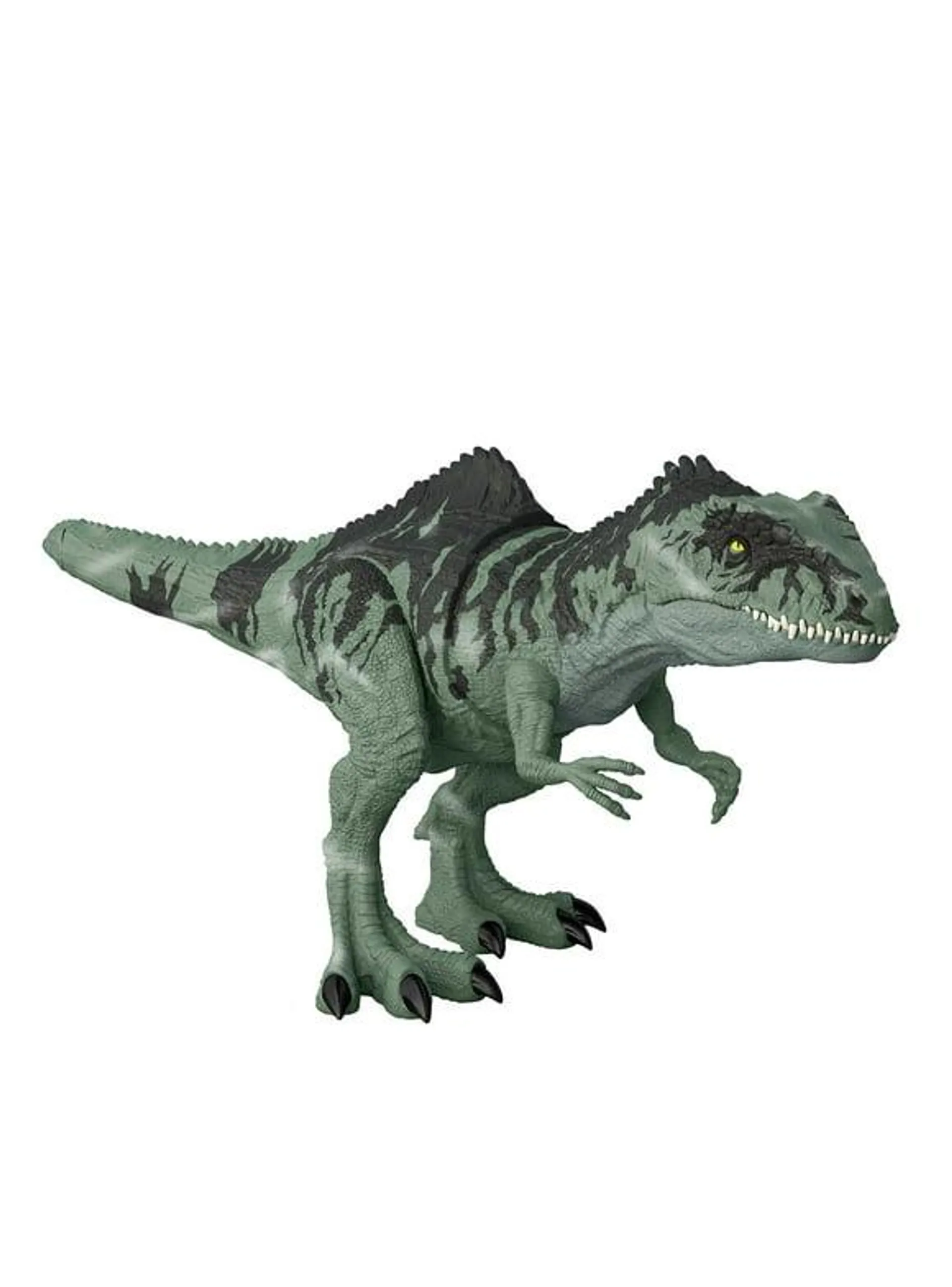 Jurassic World Dominion Giganotosaurus Dinosaur Toy Action Figure, Strike N Roar for Boys 4 Years +