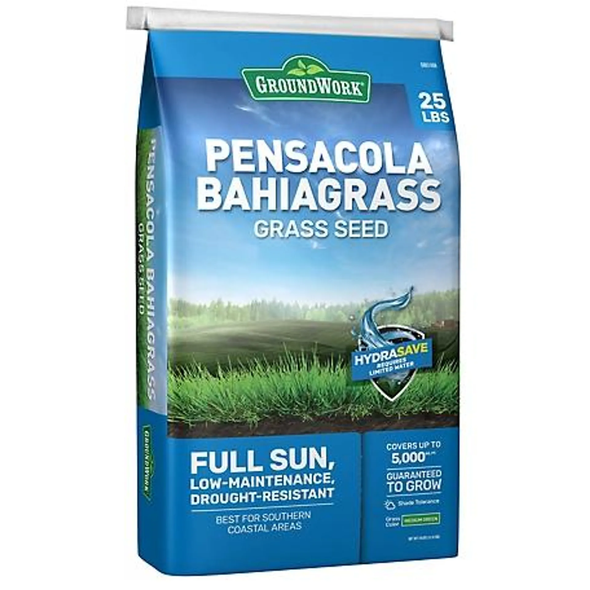 GroundWork 25 lb. 5,000 sq. ft. Pensacola Bahiagrass Grass Seed Mixture