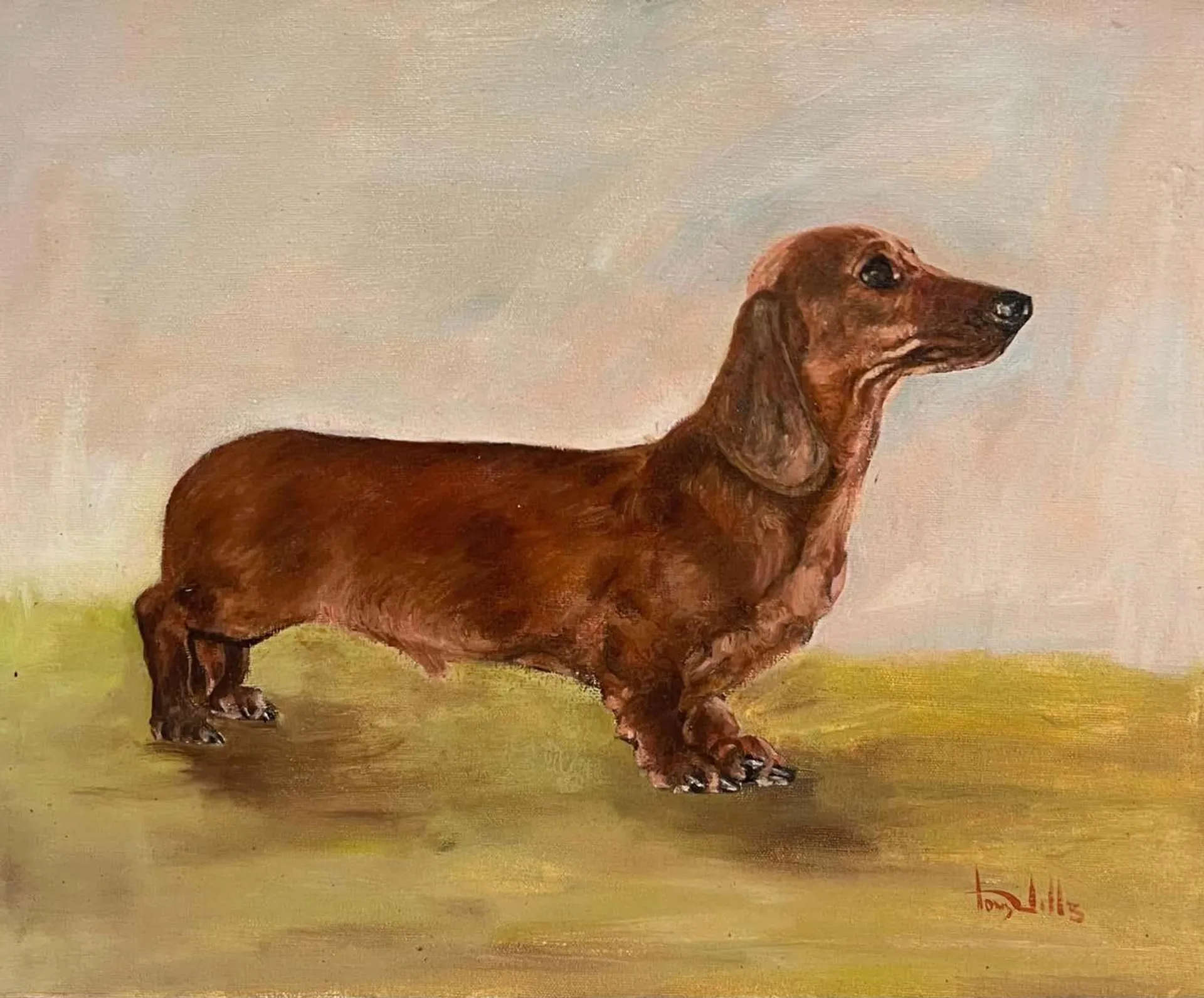 English dog artist The Dachshund Dog Vintage English Original Oil Painting Signed c. 1970's 1970's