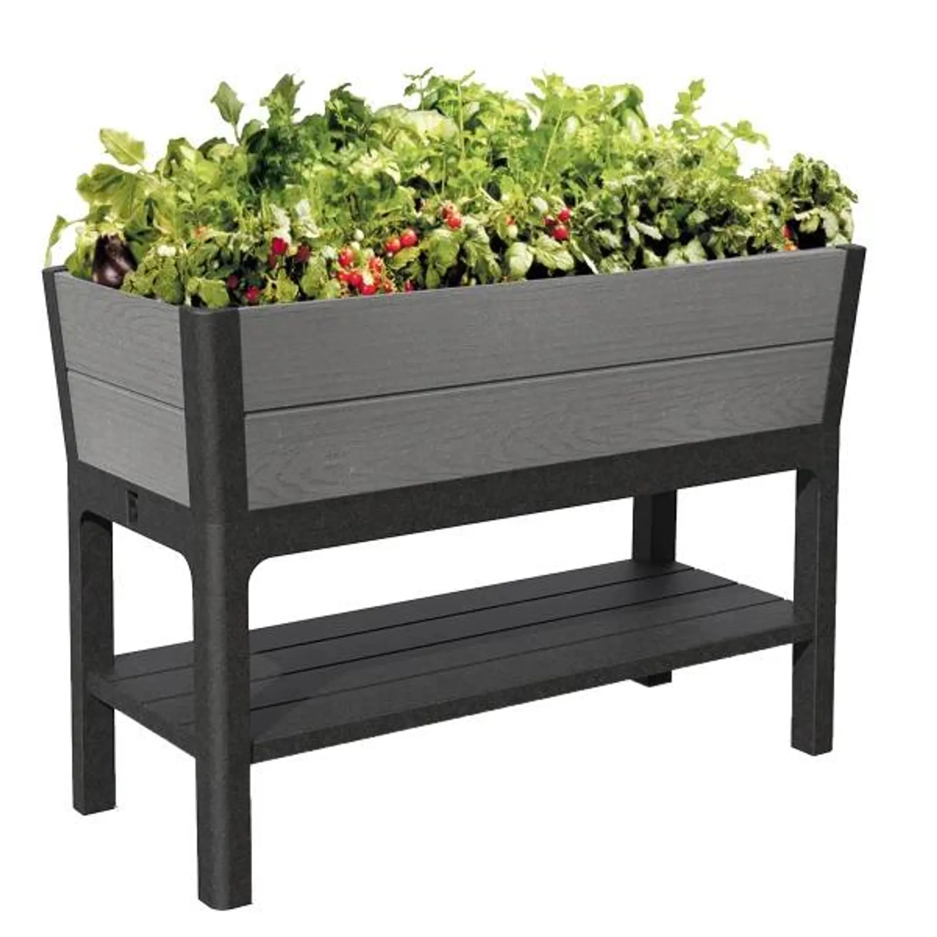 Keter Darwin 29 Gallon Raised Garden Bed and Self Watering Planter Box