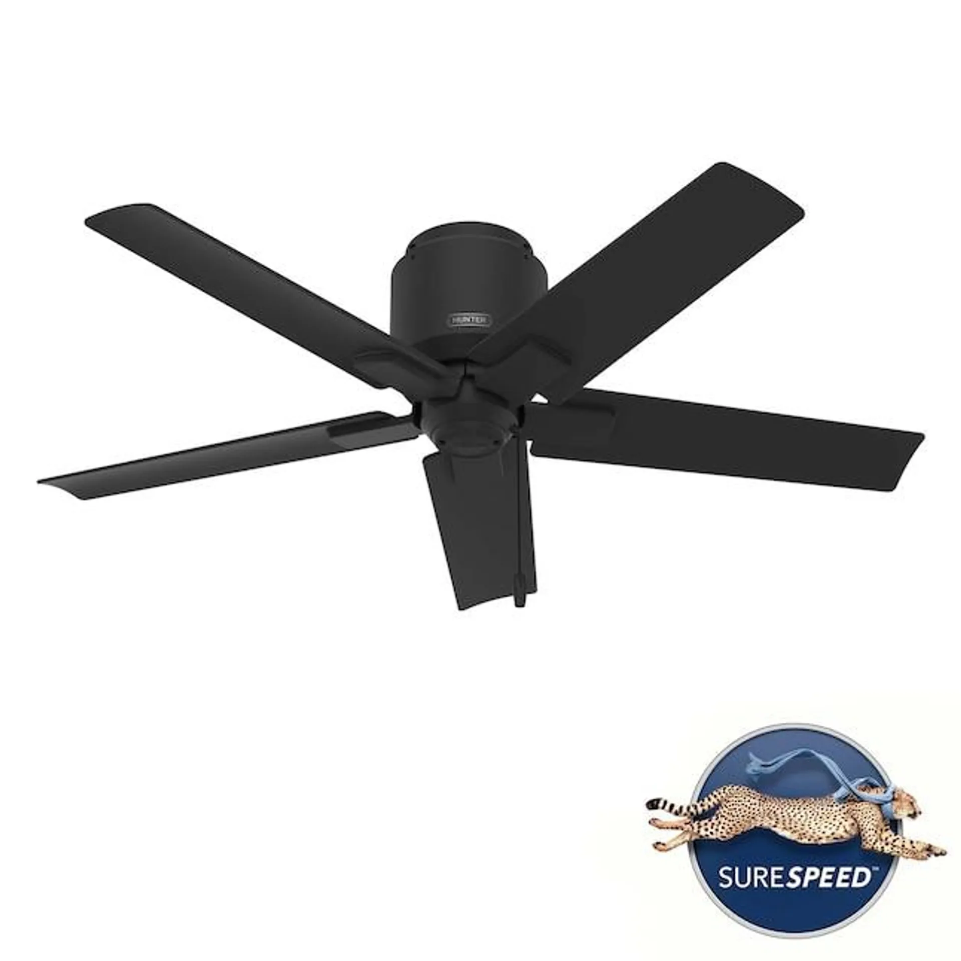 Hunter Terrace Cove 44-in Matte black Indoor/Outdoor Flush Mount Ceiling Fan (5-Blade)