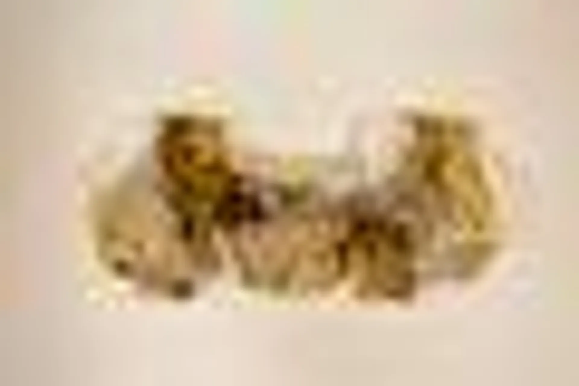 Modular Wall Light LP 276 in Brass and Murano Glass by Carlo Nason for Mazzega, Set of 3