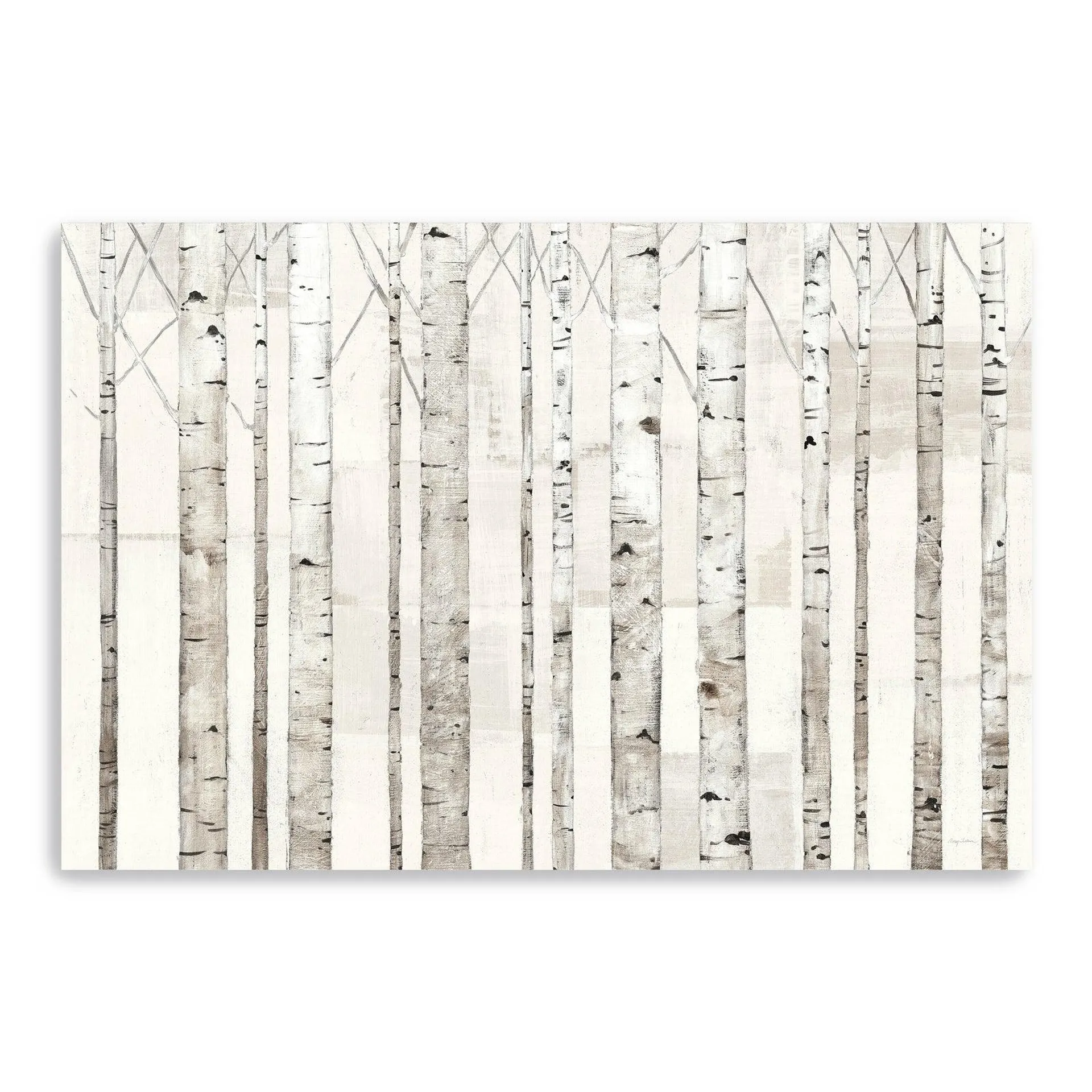 Birch Trees On White Canvas Giclee Wall Art