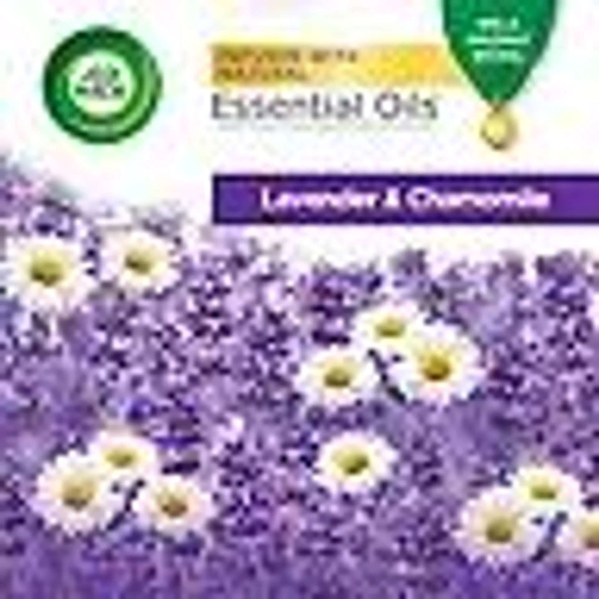 Air Wick Scented Oil Air Freshener, Lavender & Chamomile, 9 refills