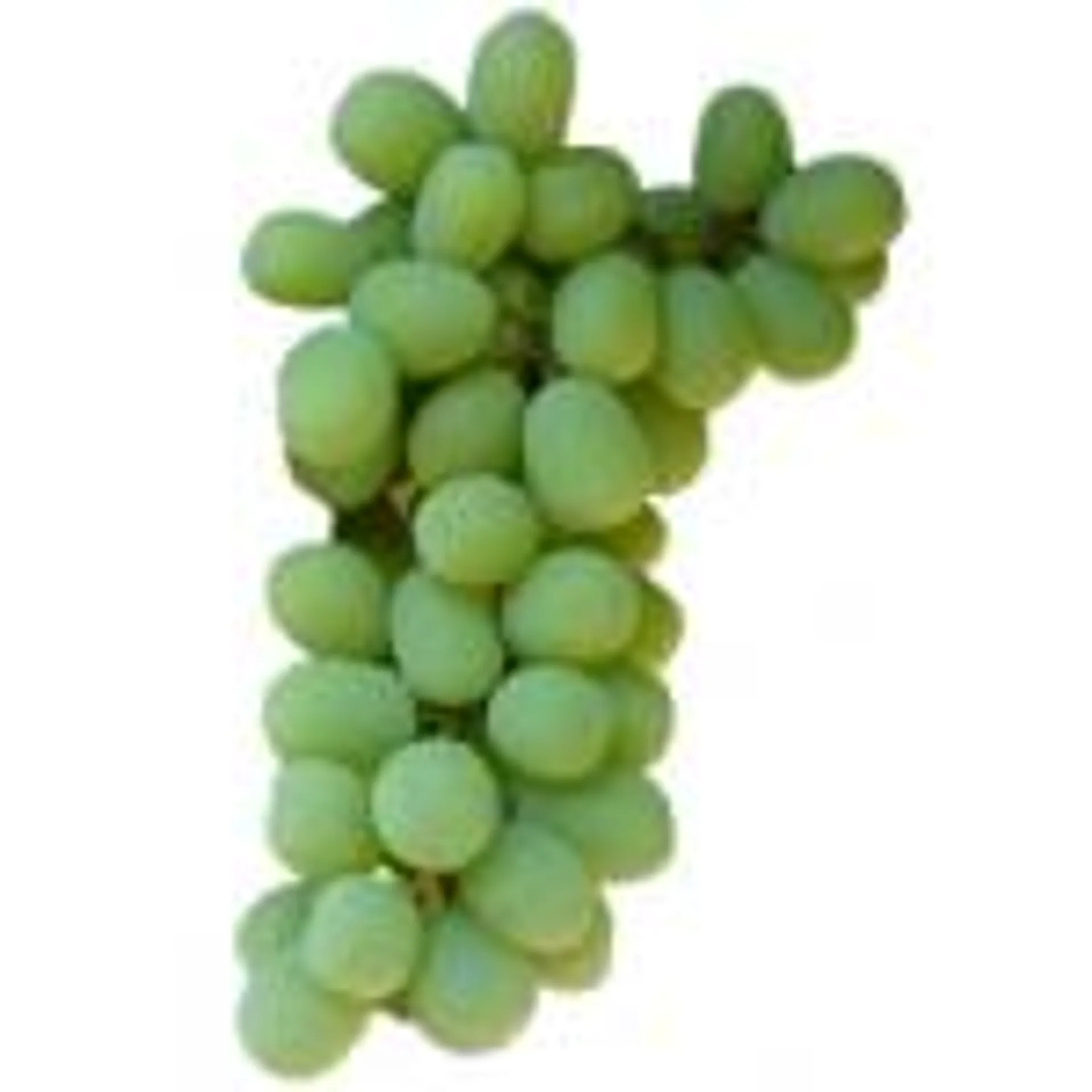 Green Grapes