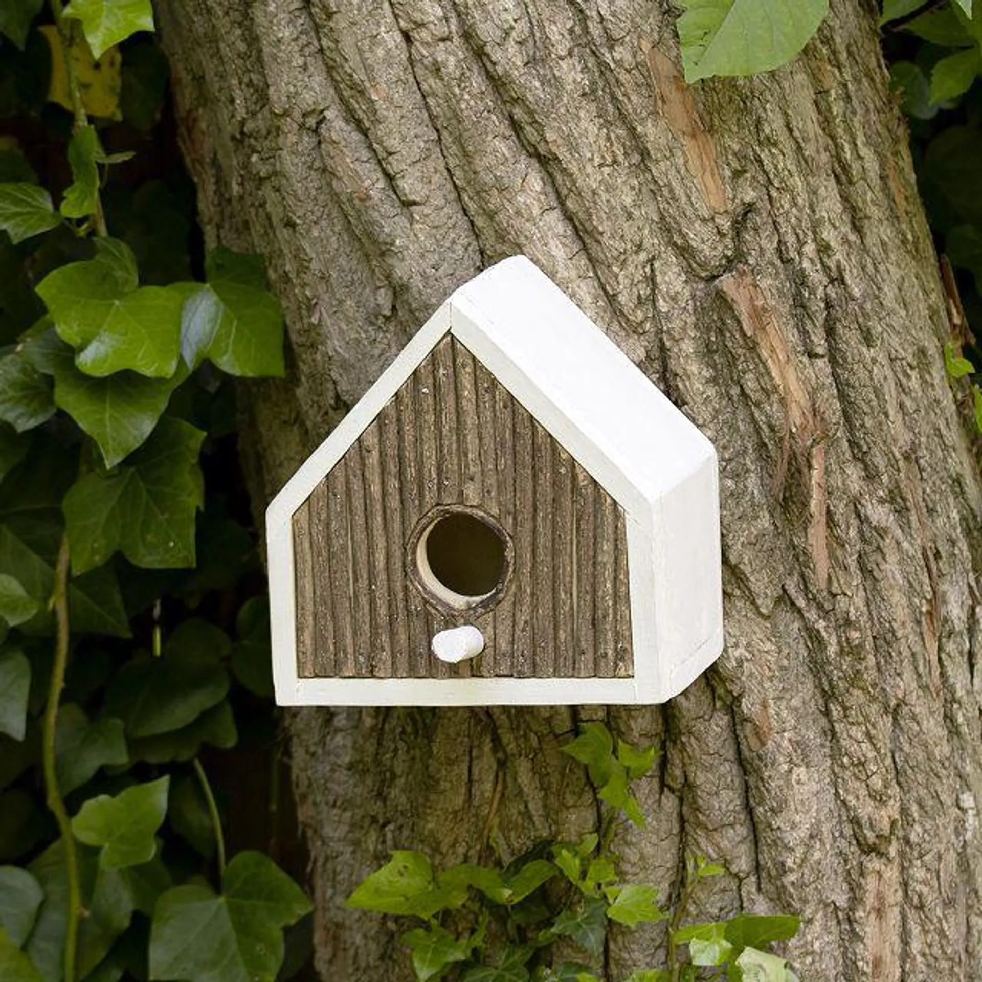 Takip-Asin Wooden Birdhouse