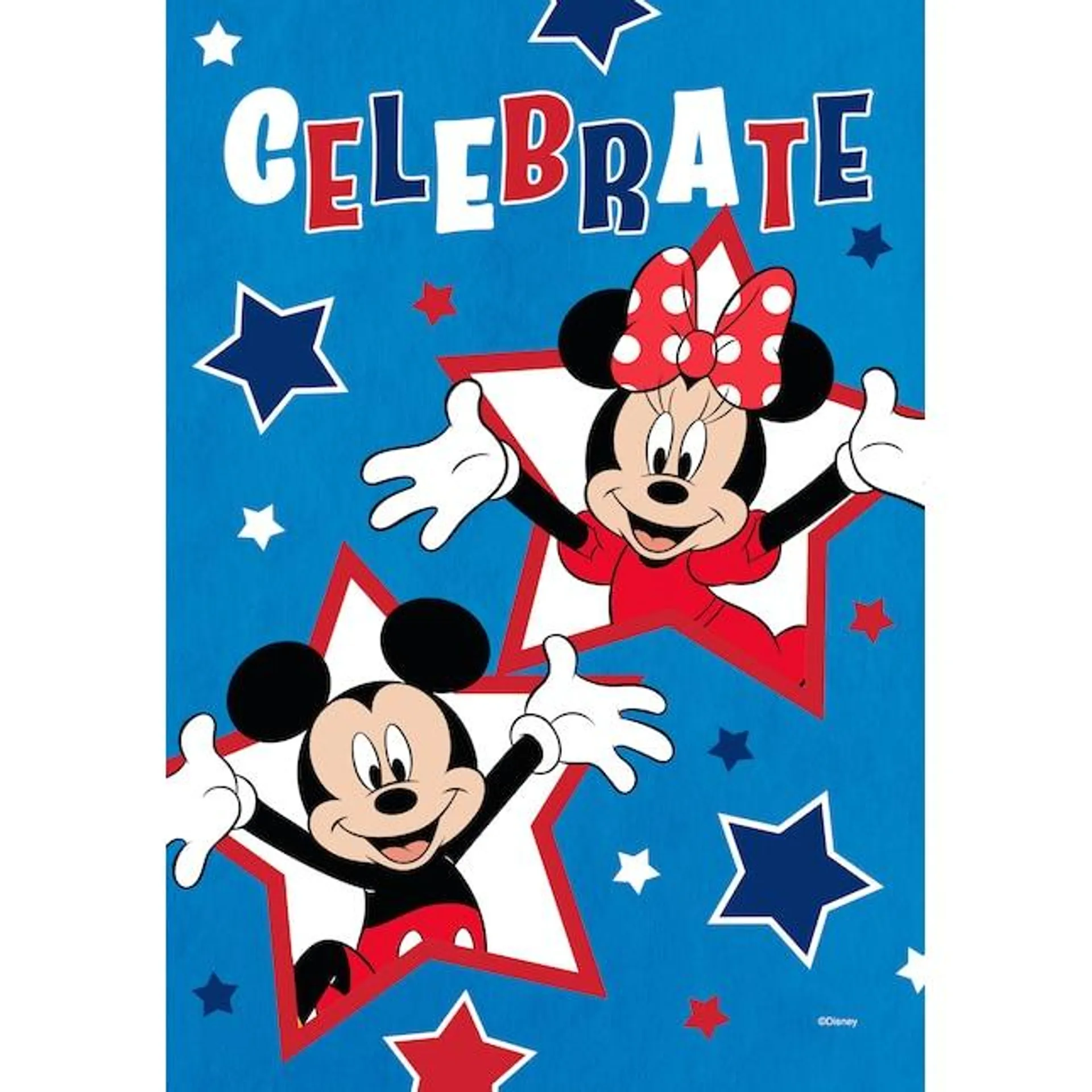 Disney 1.44-ft W x 2.91-ft H Patriotic Garden flag Kit