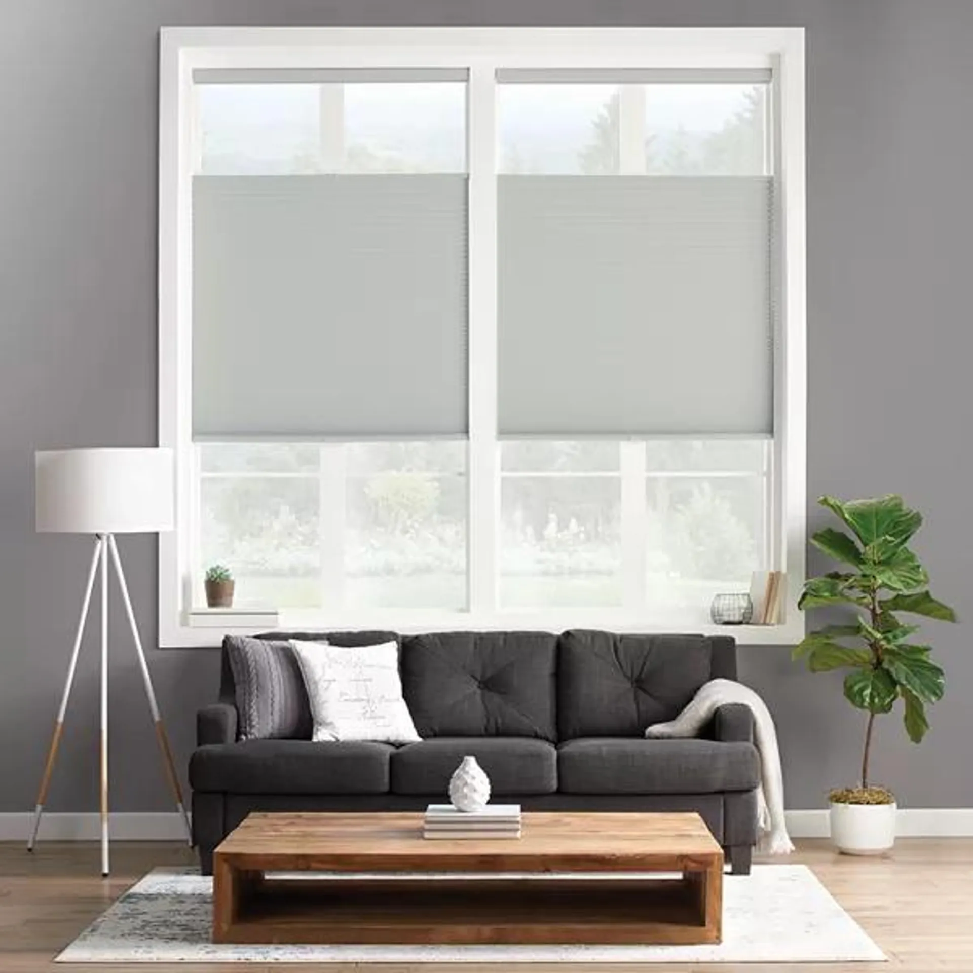 Sonoma Goods For Life® Custom Cordless Blackout Top Down Bottom Up Shade Window Collection