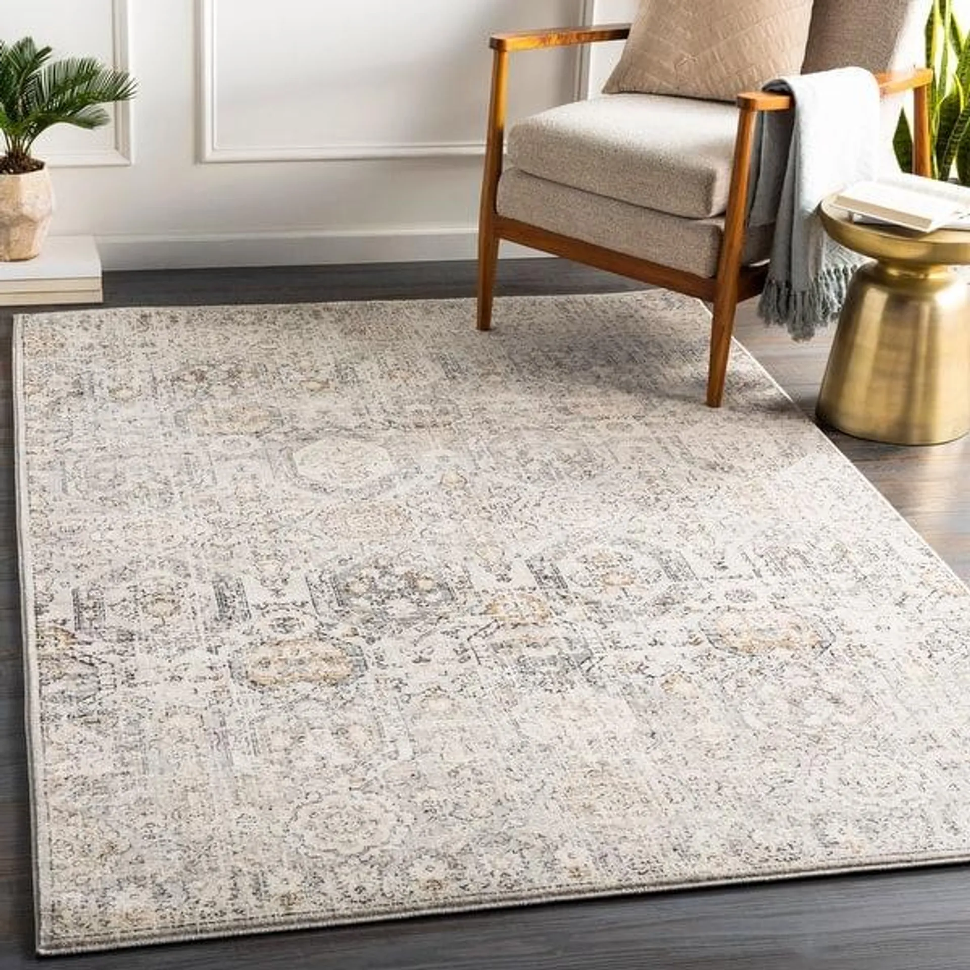 Livabliss Appingedam Vintage Medallion Area Rug