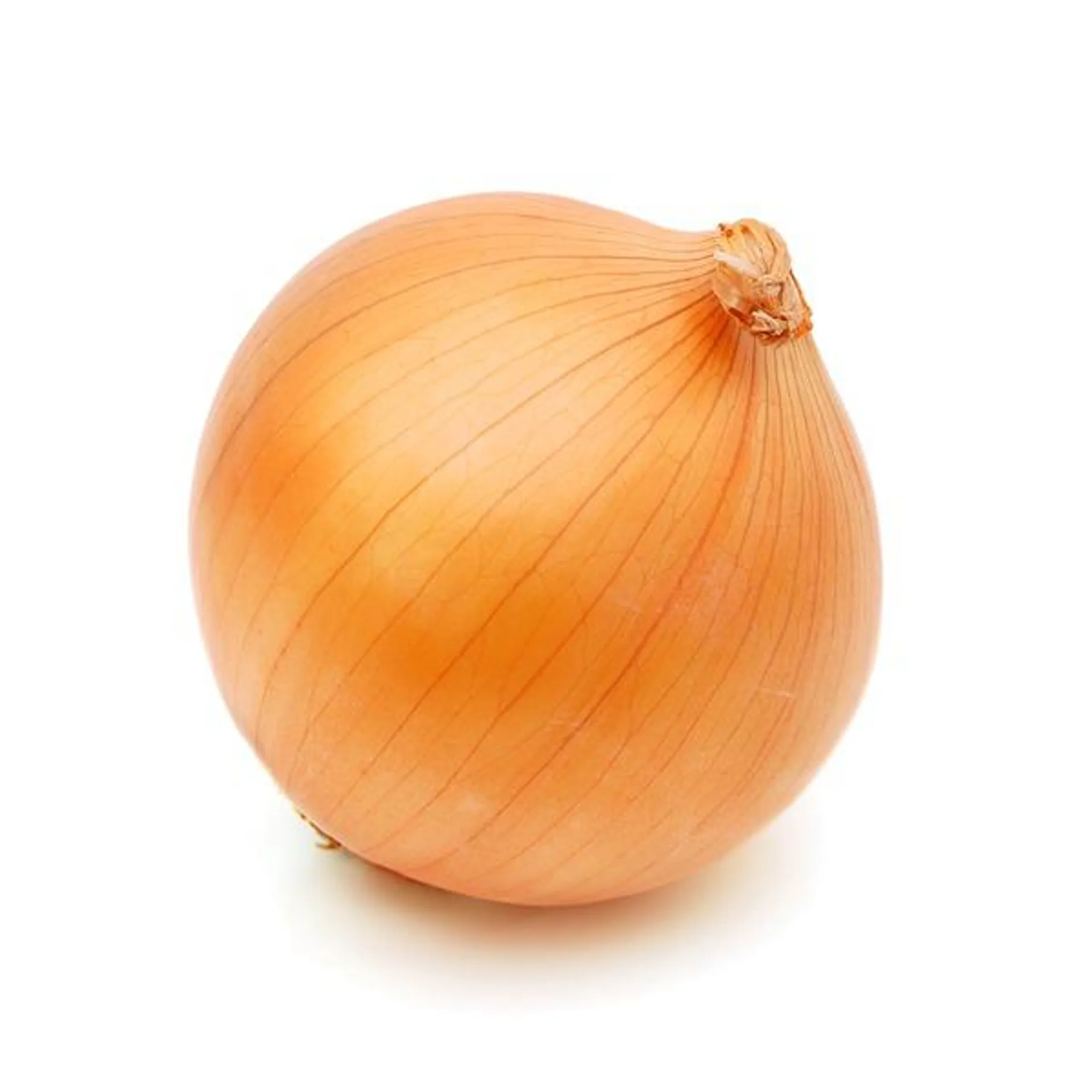 Yellow Onion