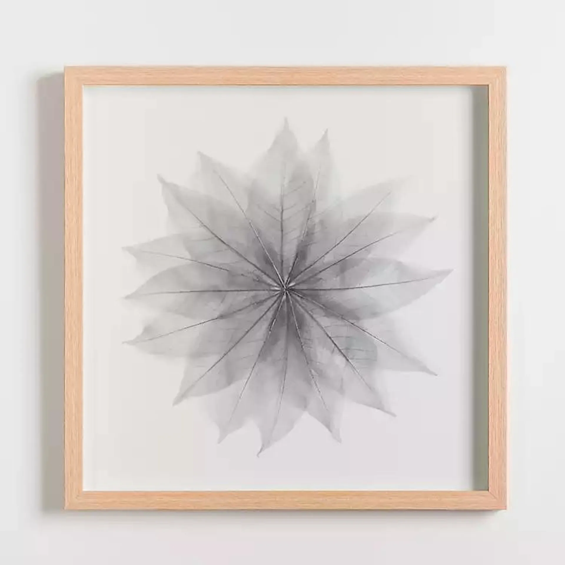 Overlapping Leaves Shadowbox Framed Art Print